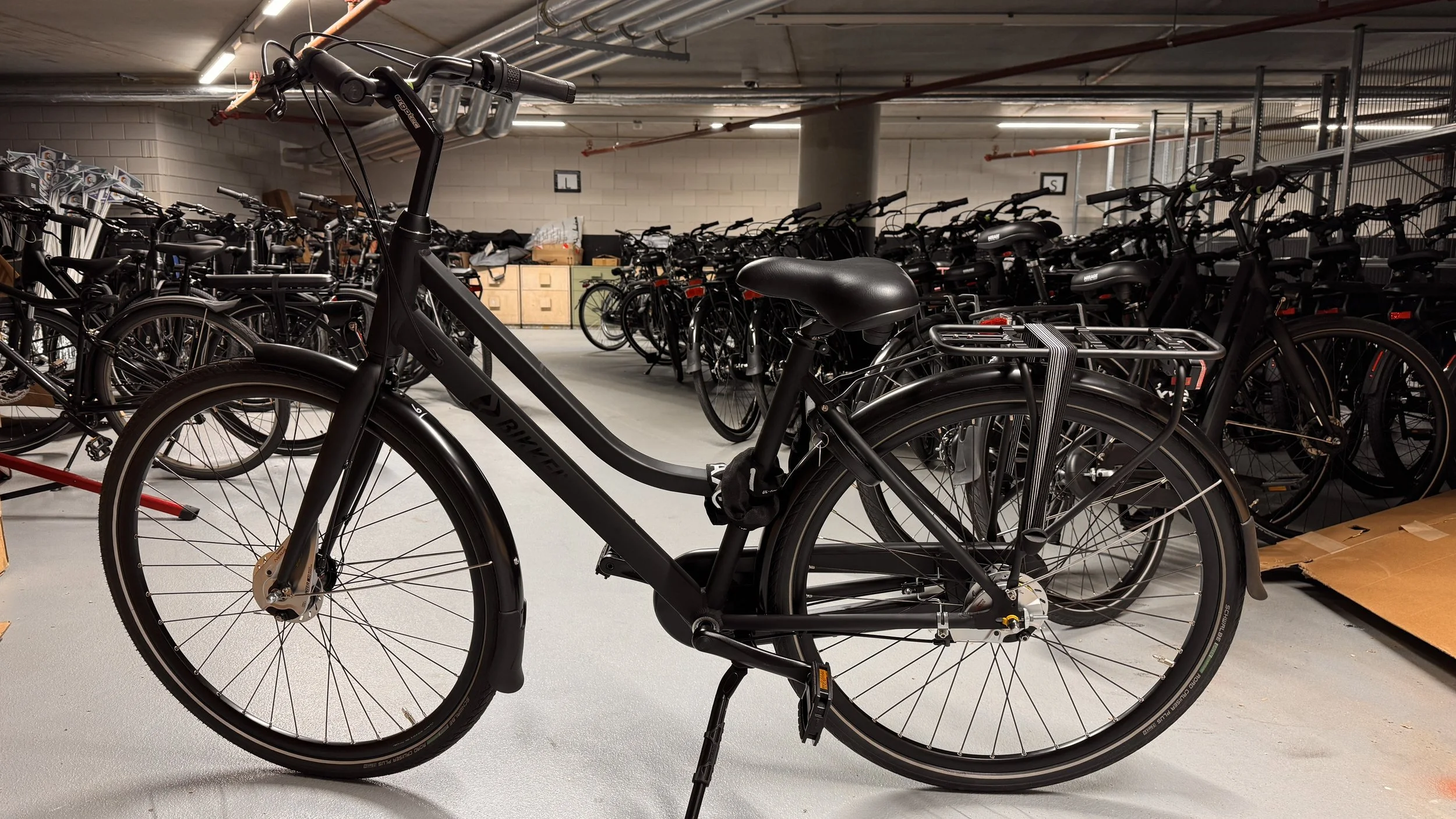 Local Bike Rentals
