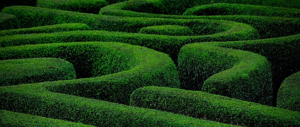 La Finta Giardiniera