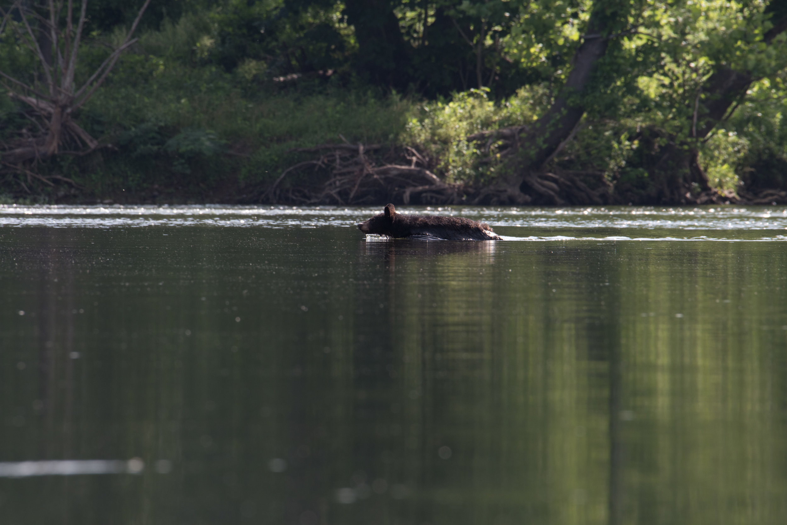 DSC_5704.jpg