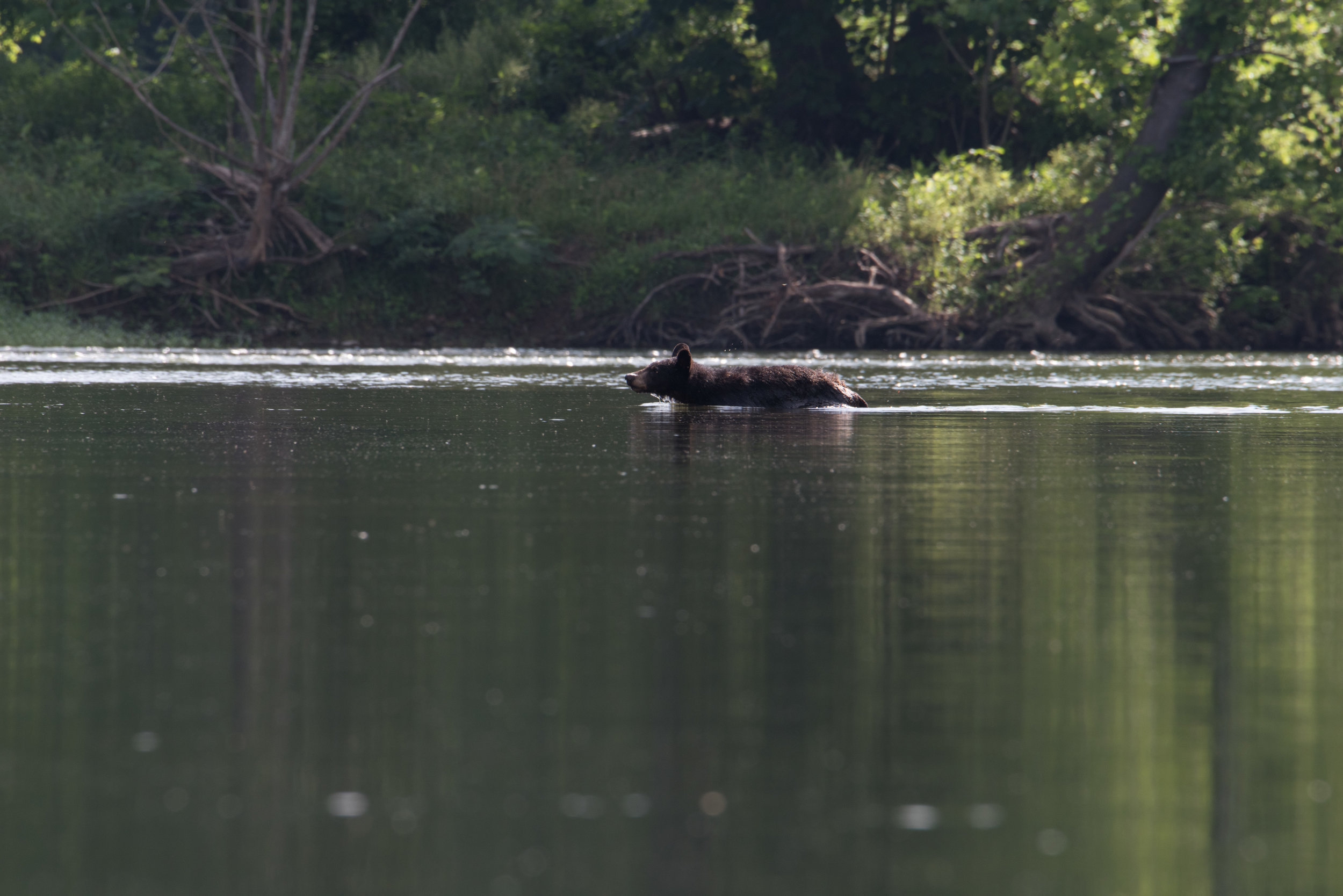 DSC_5707.jpg