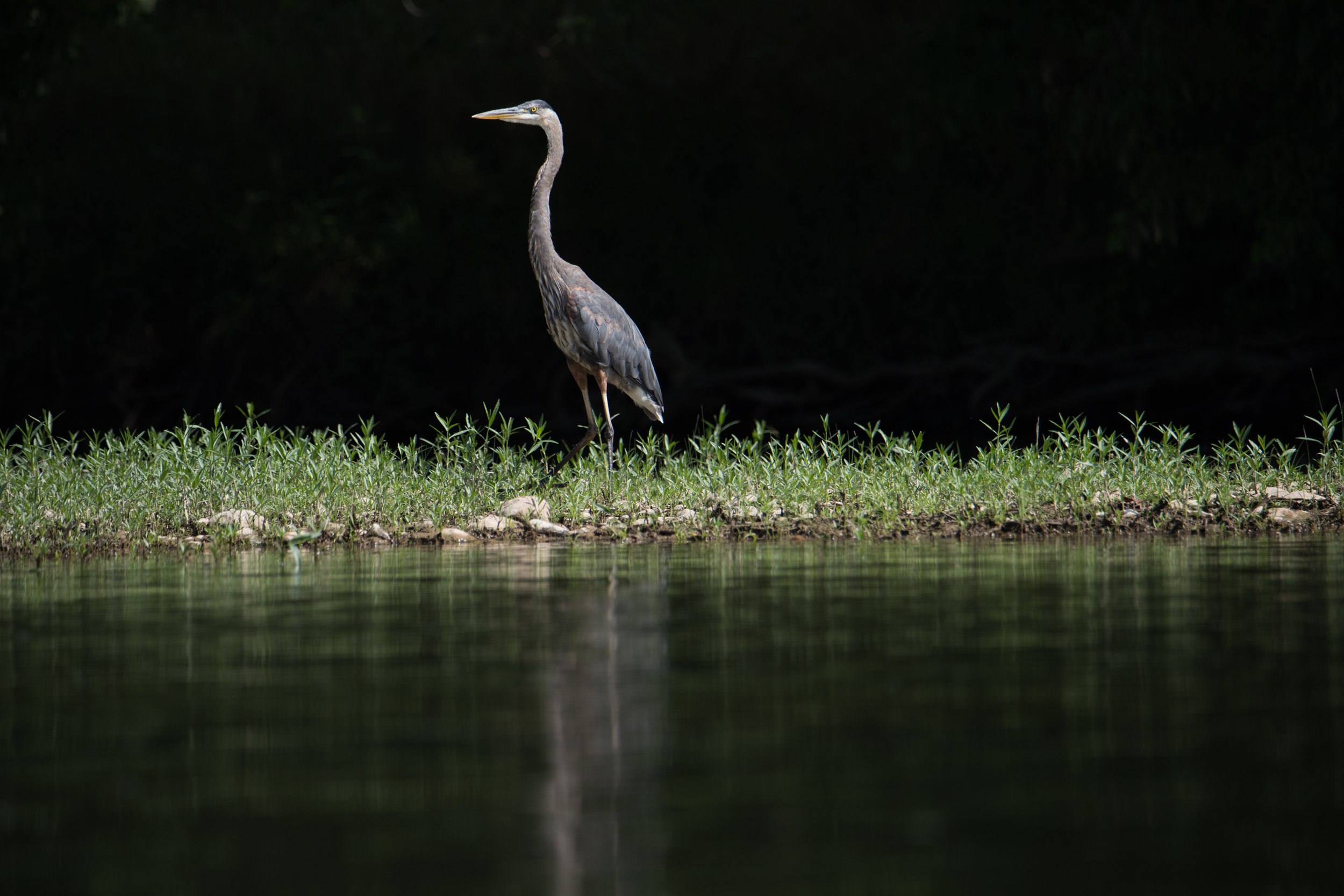 DSC_5729.jpg