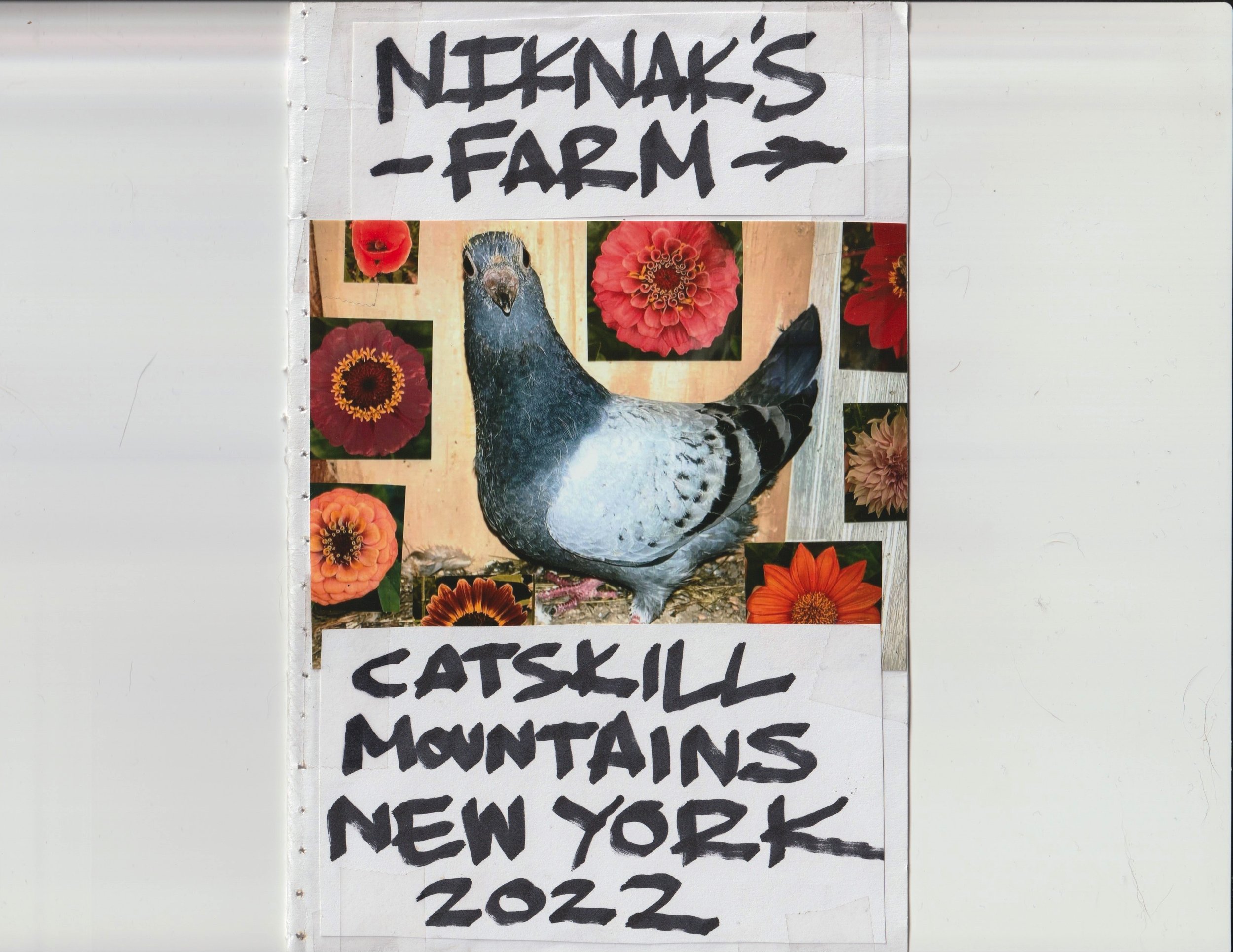 niknak farm zine cover1.jpeg