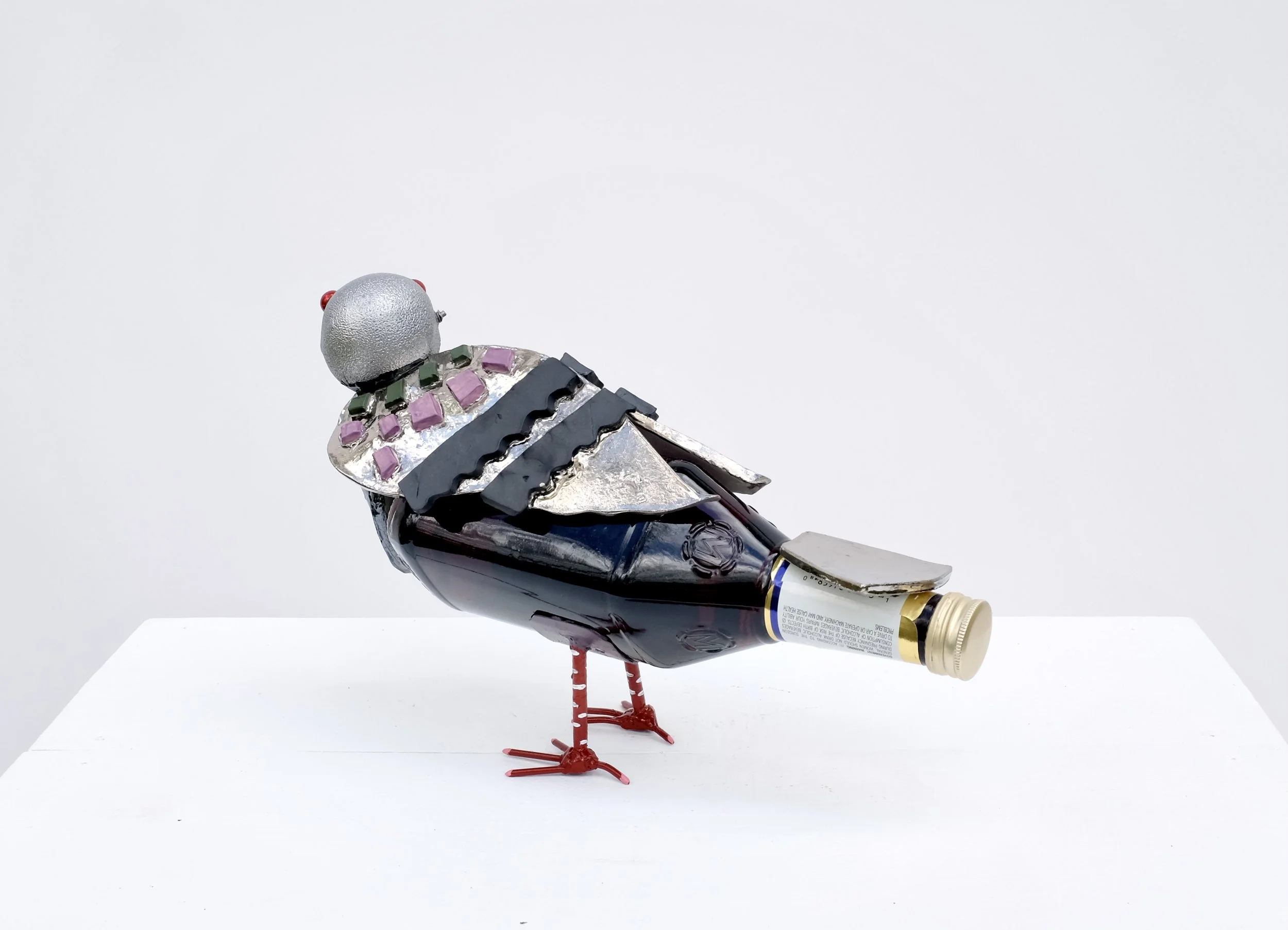 NewYorkPigeon3.JPG