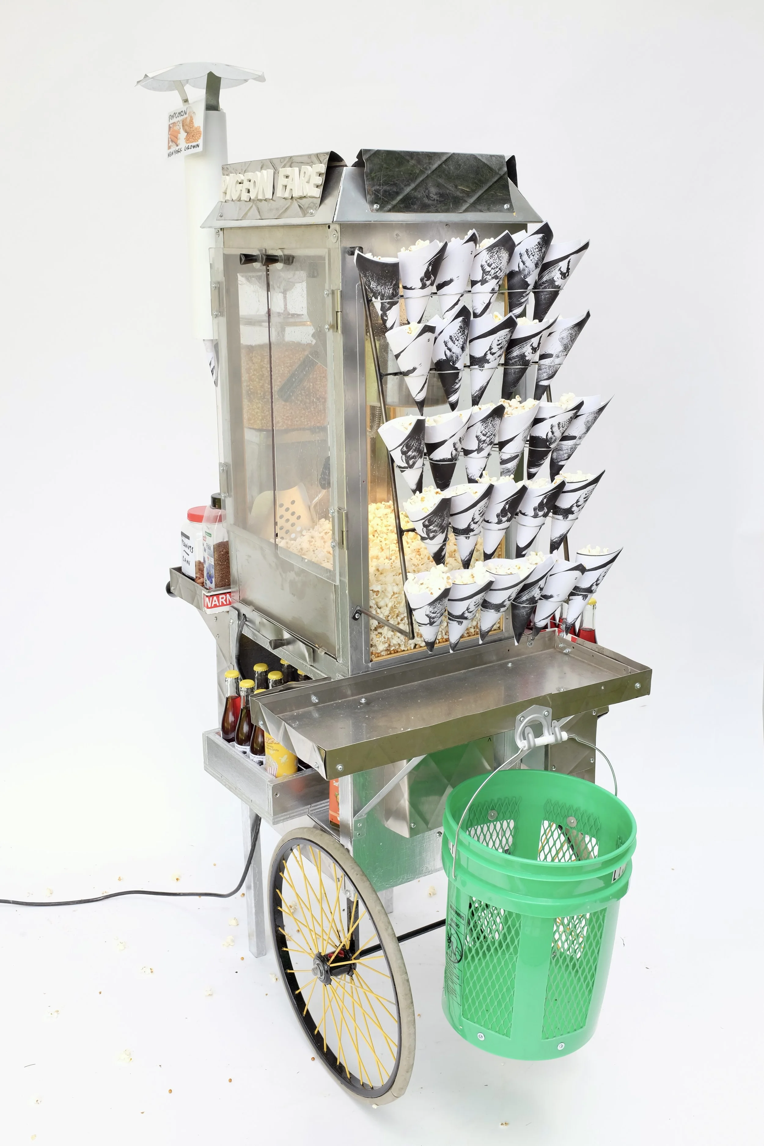 PigeonFare6.JPG