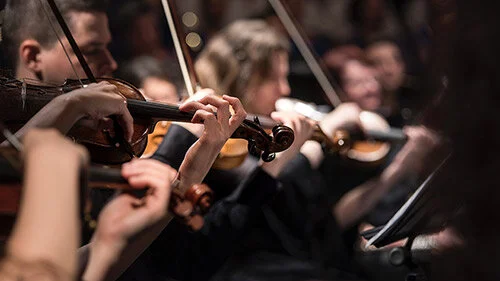 Music-Violinist-Module_Unrushed_Experiences_500px.jpg