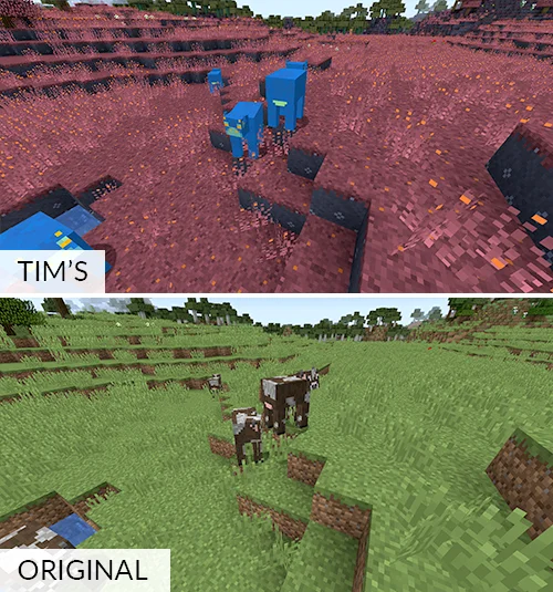 MC_04.jpg