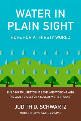 Water in Plain Sight: Hope for a Thirsty World