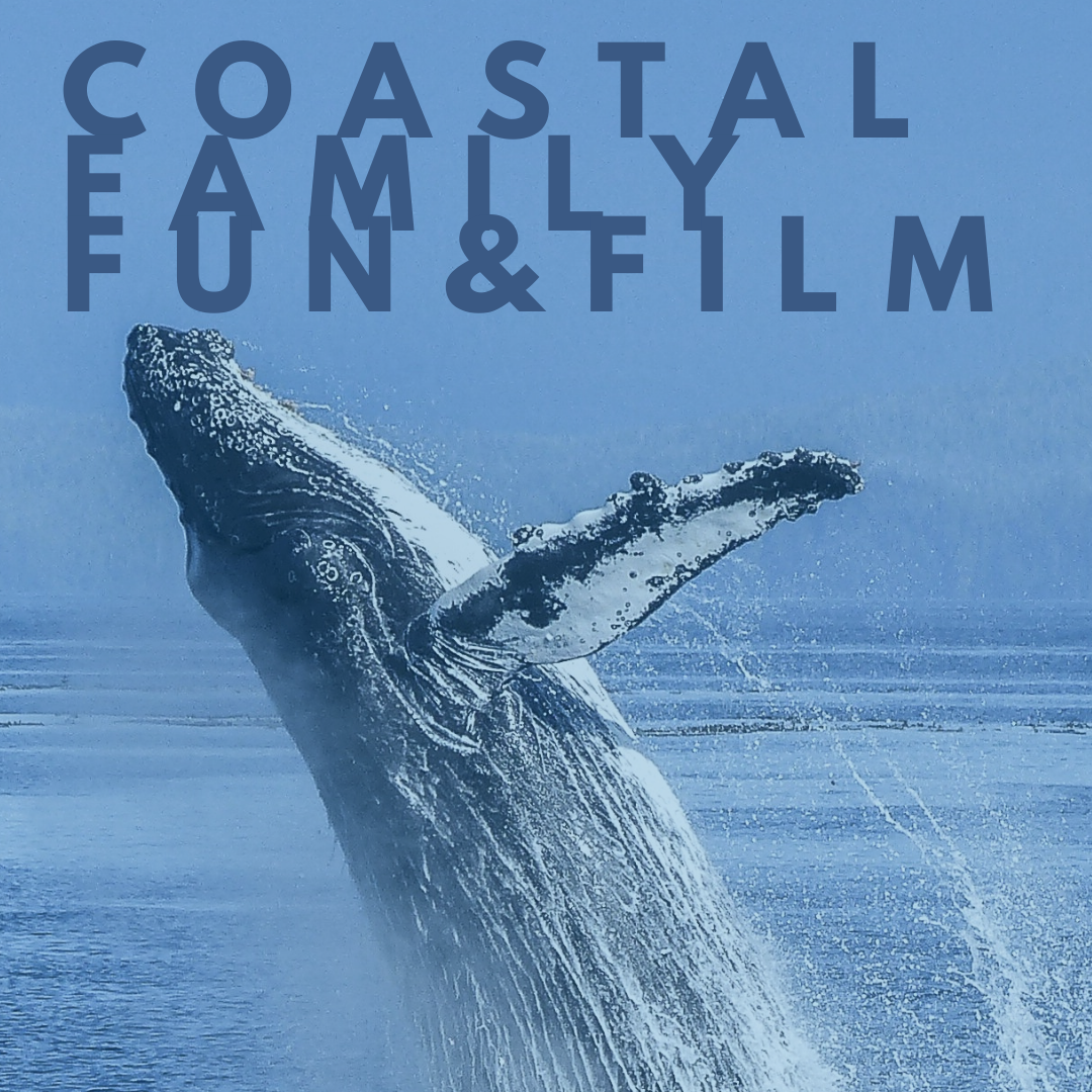 Family, Fun, &amp; Film 