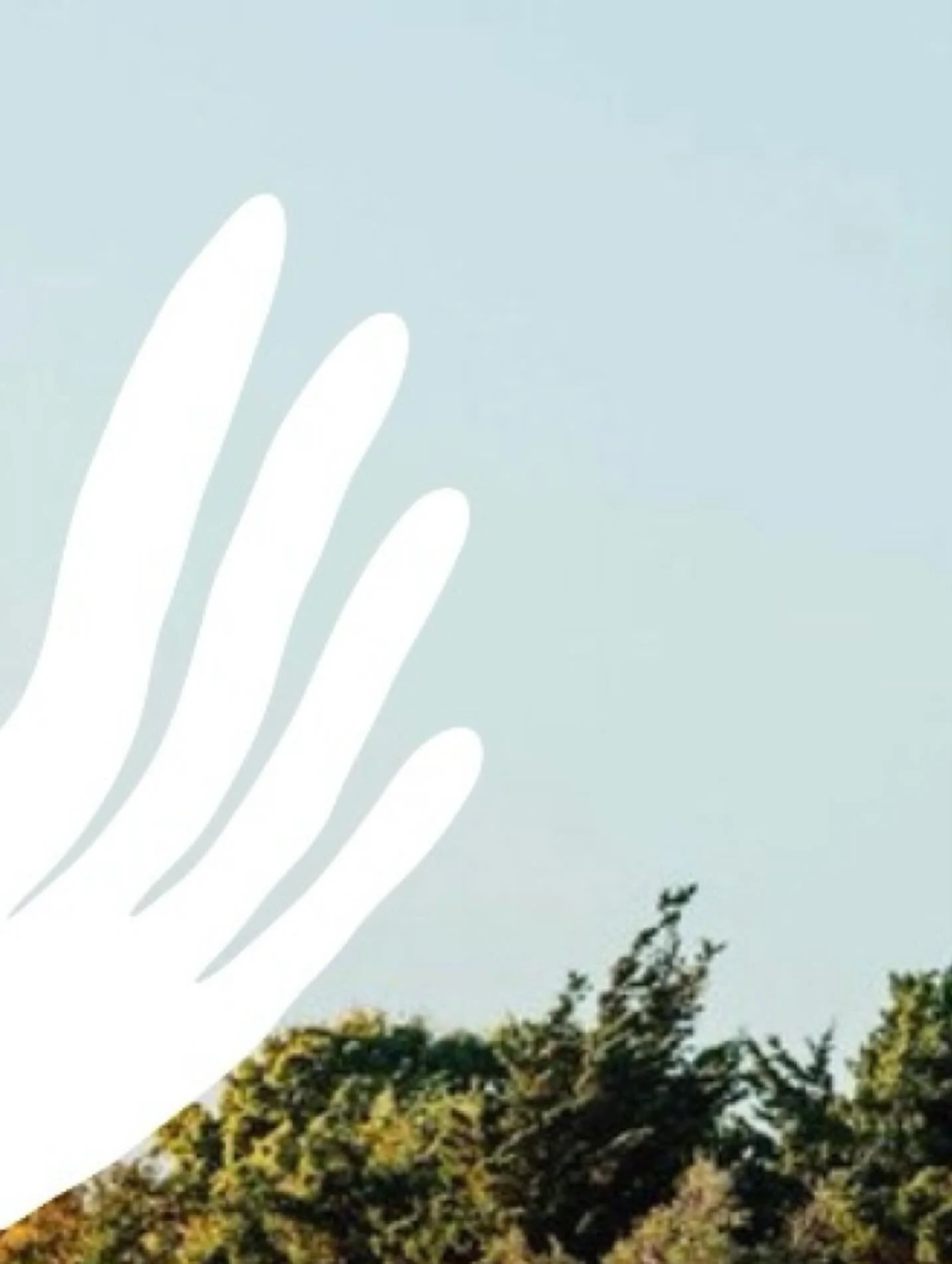 We&rsquo;re excited to introduce Making Waves Coalition. 🌊

Our team has poured so much love and intention into the rebranding of our organization, with the ultimate goal of creating something that truly reflects who we are and what we wish to bring