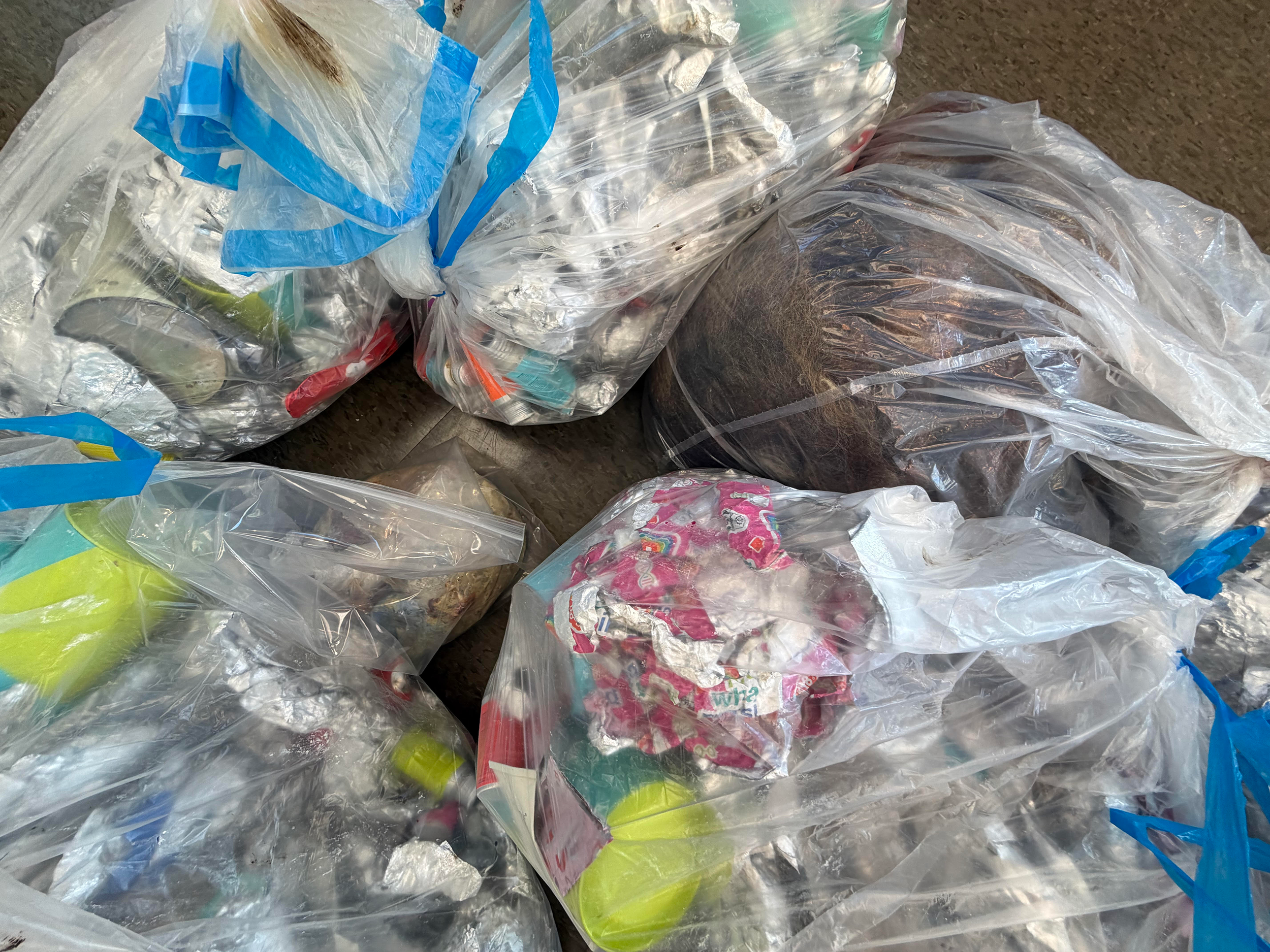 Hair clippings, hair foils, color containers, and other metals all set aside to be shipped out to specific recycling programs.