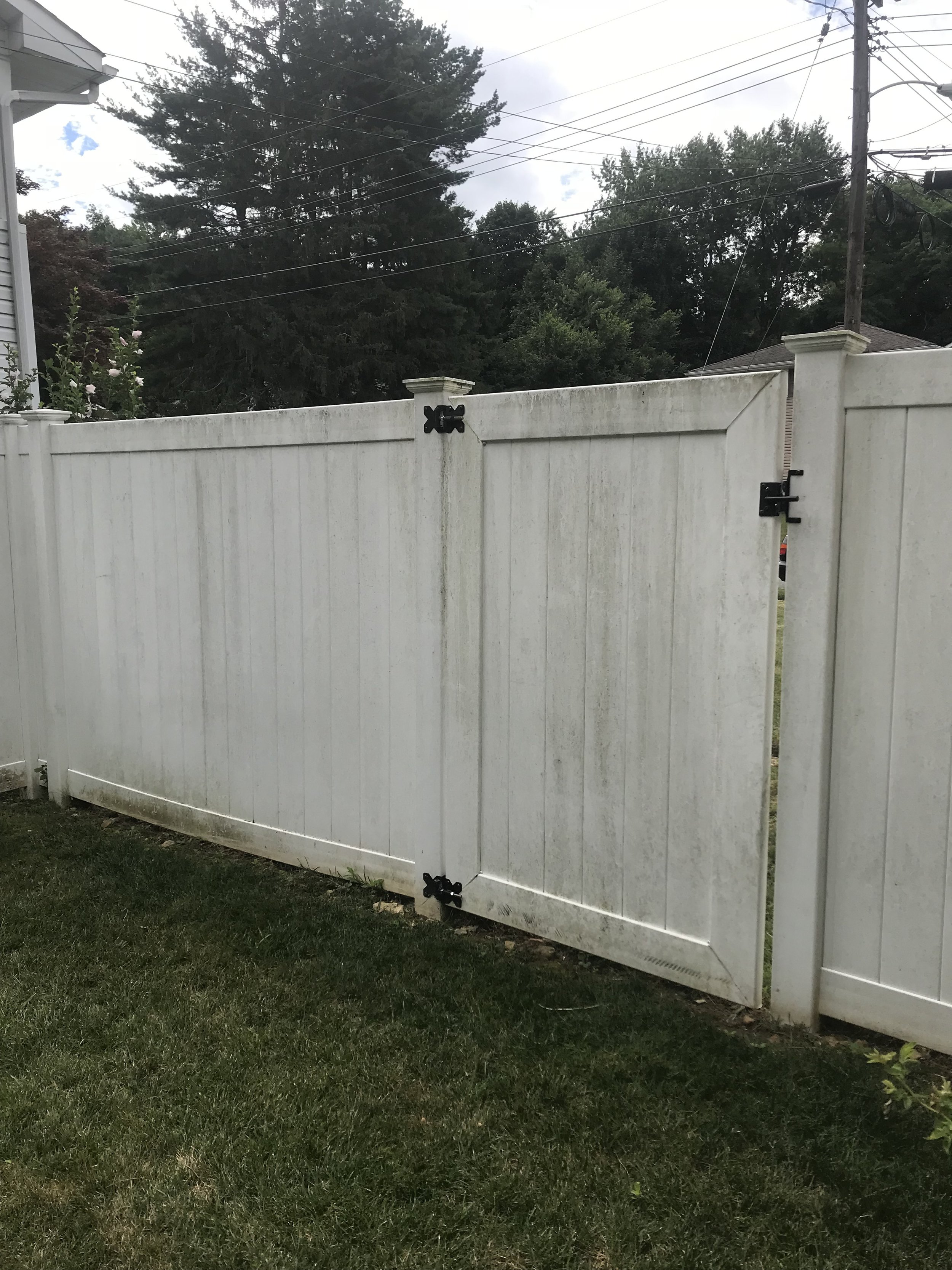Vinyl fence mildew growth
