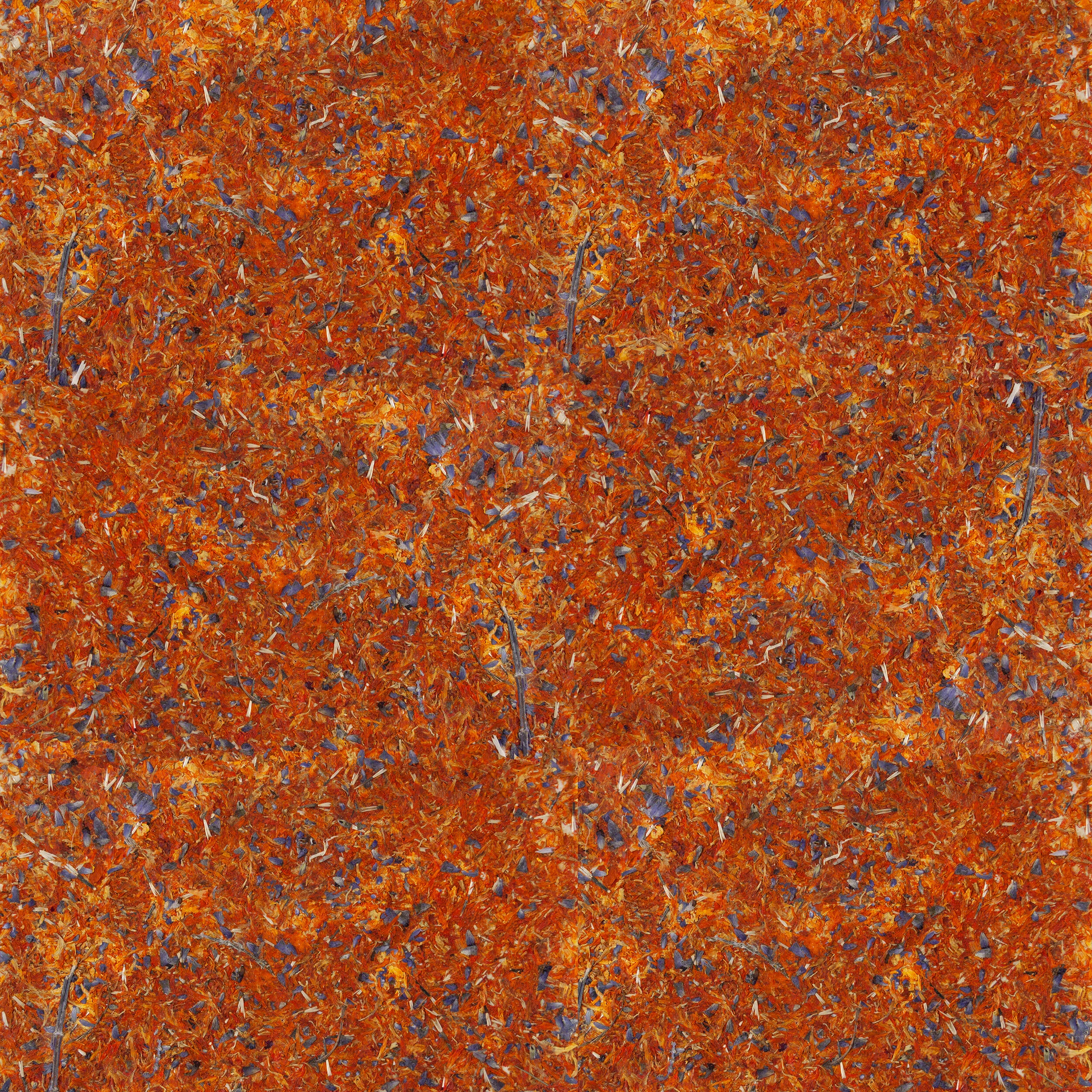 NS_Wall01.jpg