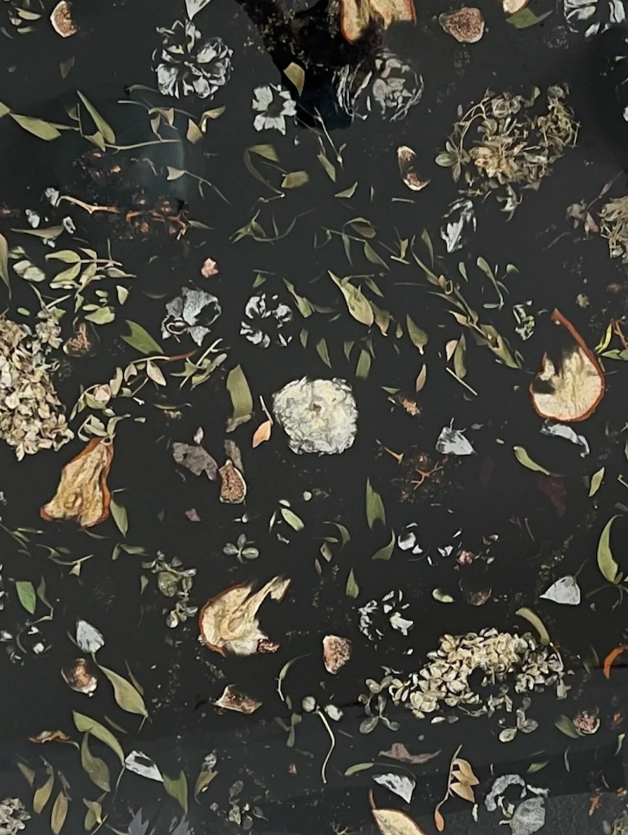 Fruit + Flowers! 🖤🍐🍇
My biggest bridal flower preservation. So delicious, it included figs, grapes, pears, blackberries and florals!
35” x 24” x 1”
👰‍♀️ @cris.cor.fig