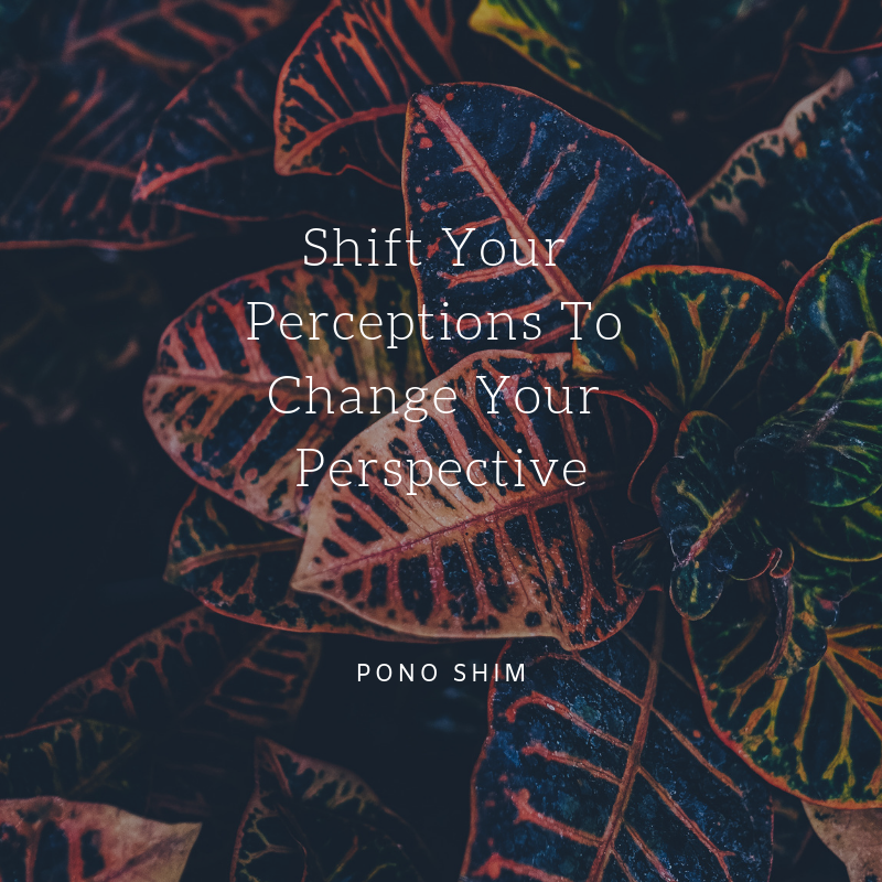 Shift Your Perceptions To Change Your Perspective
