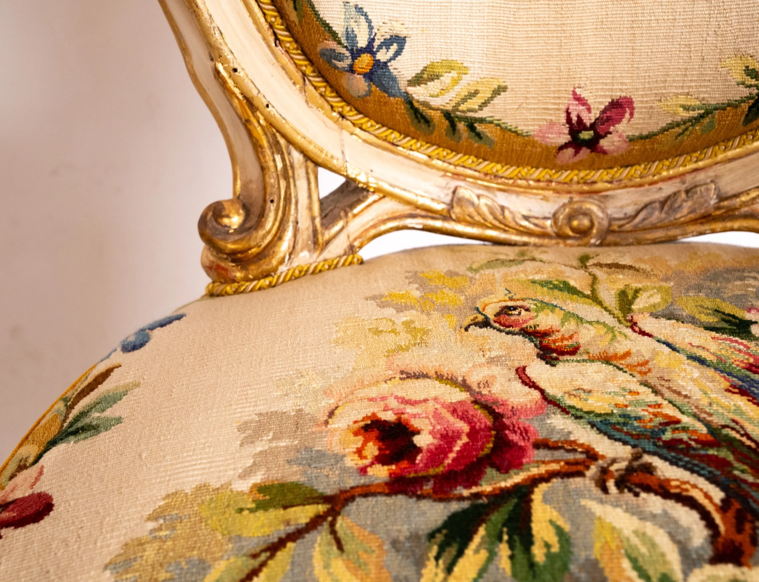 C330A285-768D-4A92-B37D-6C43C76DEC00