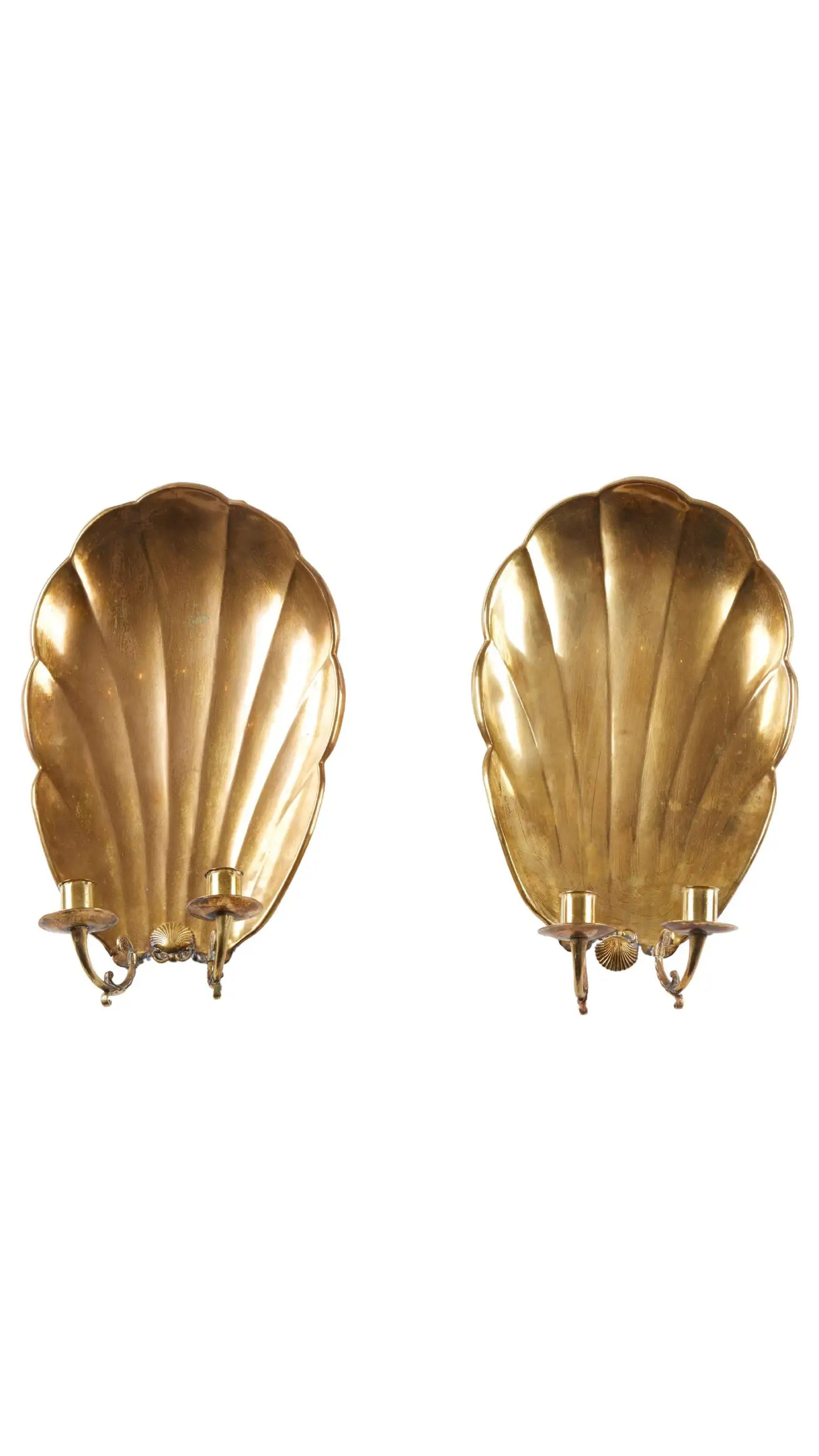 crop shell.png
