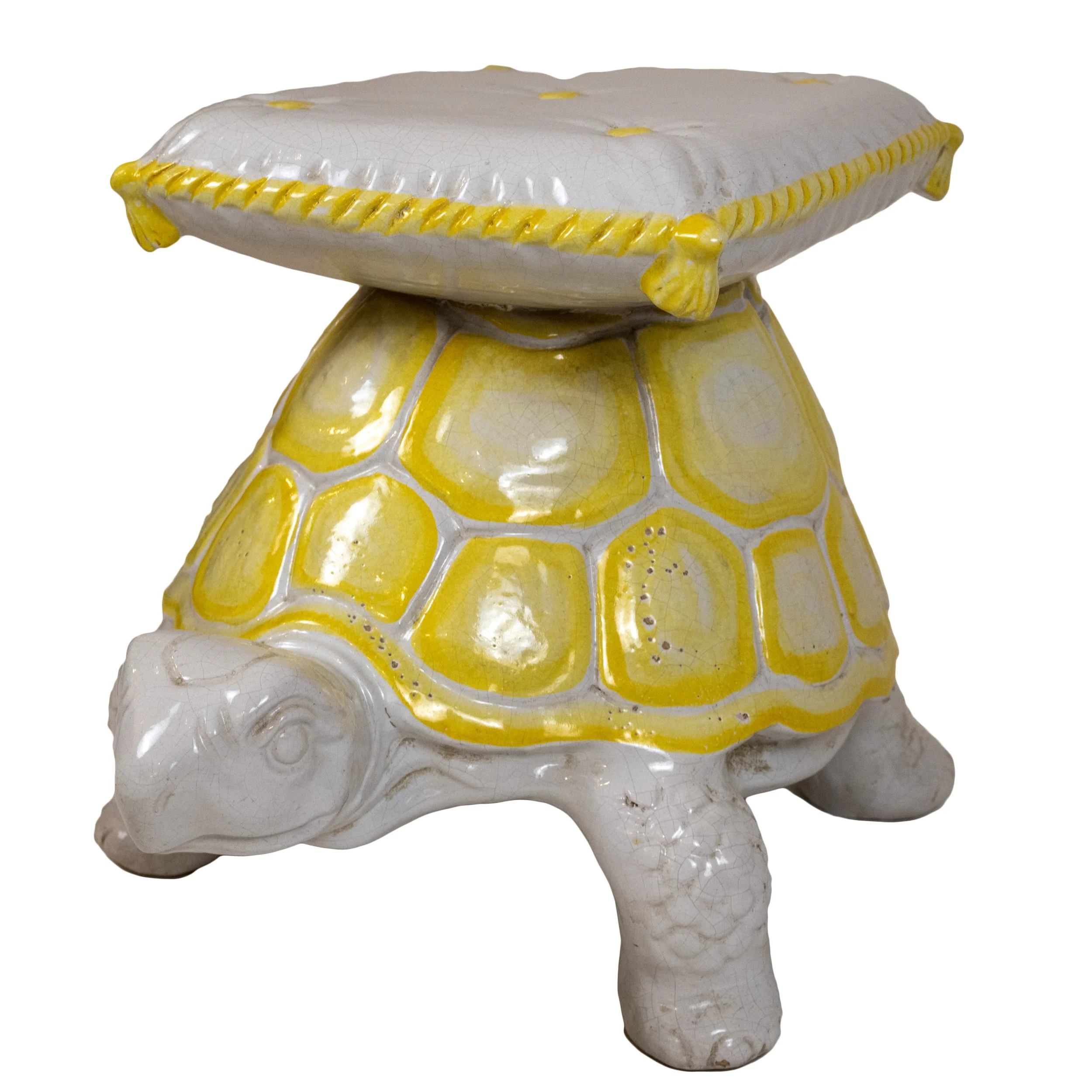 turtle front angle.jpeg