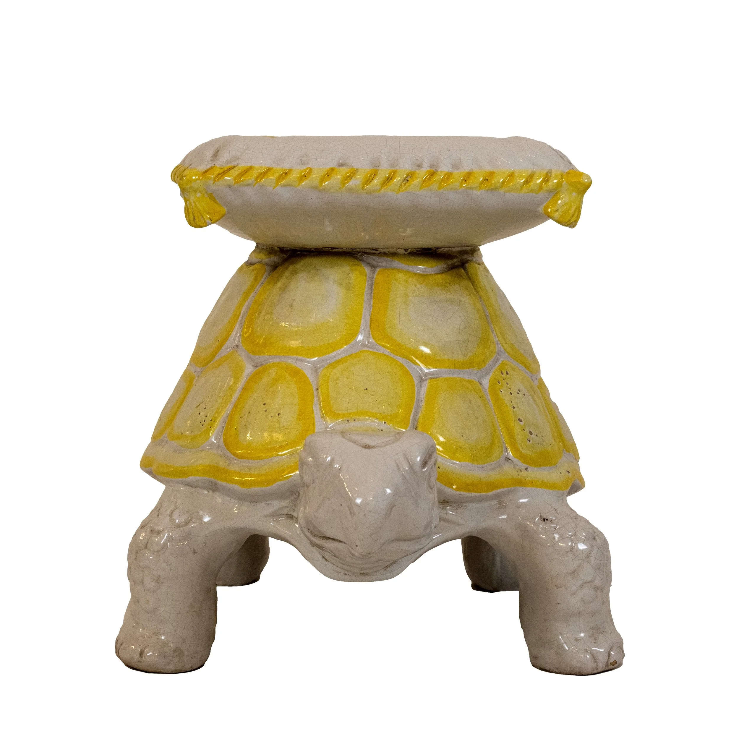 turtle front.jpeg
