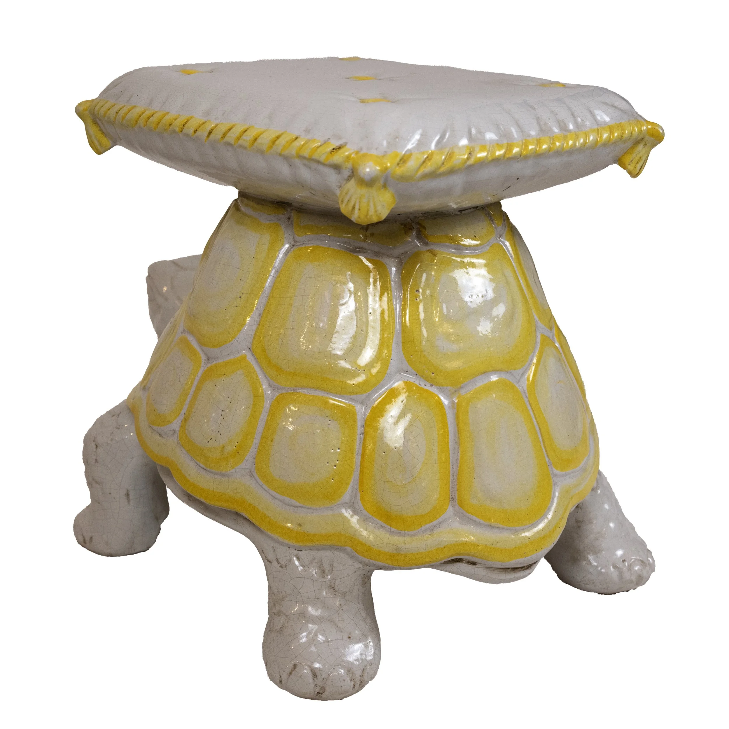 turtle back angle.jpeg