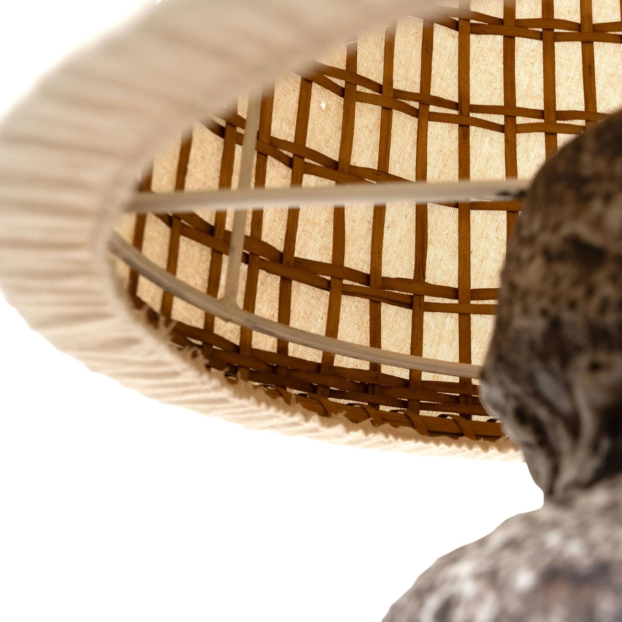 Detail-2.jpg