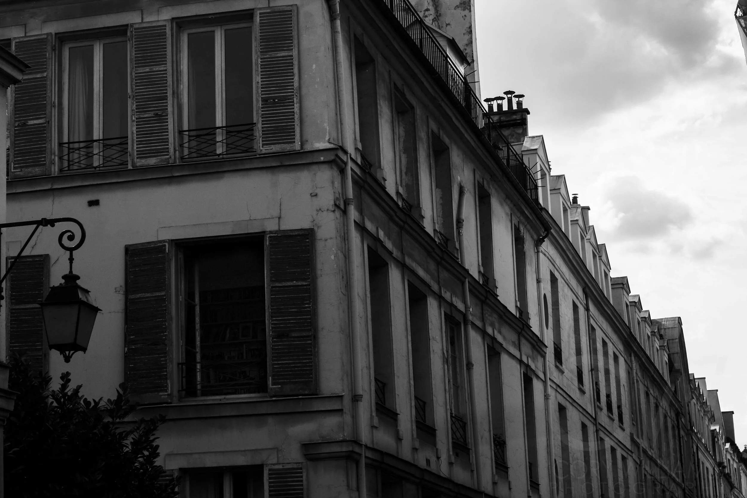 IMG_5427.jpg