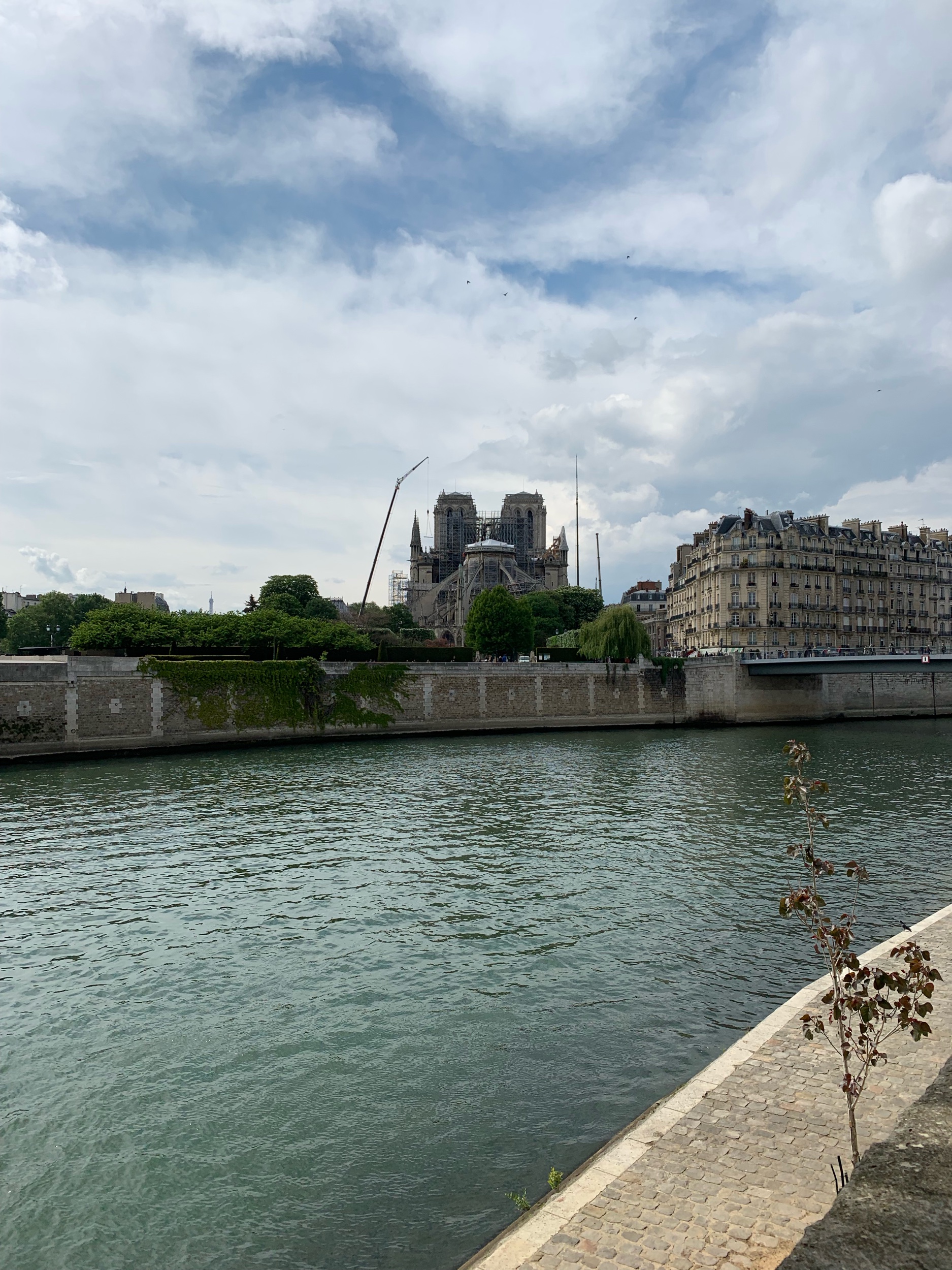 IMG_0997.jpeg
