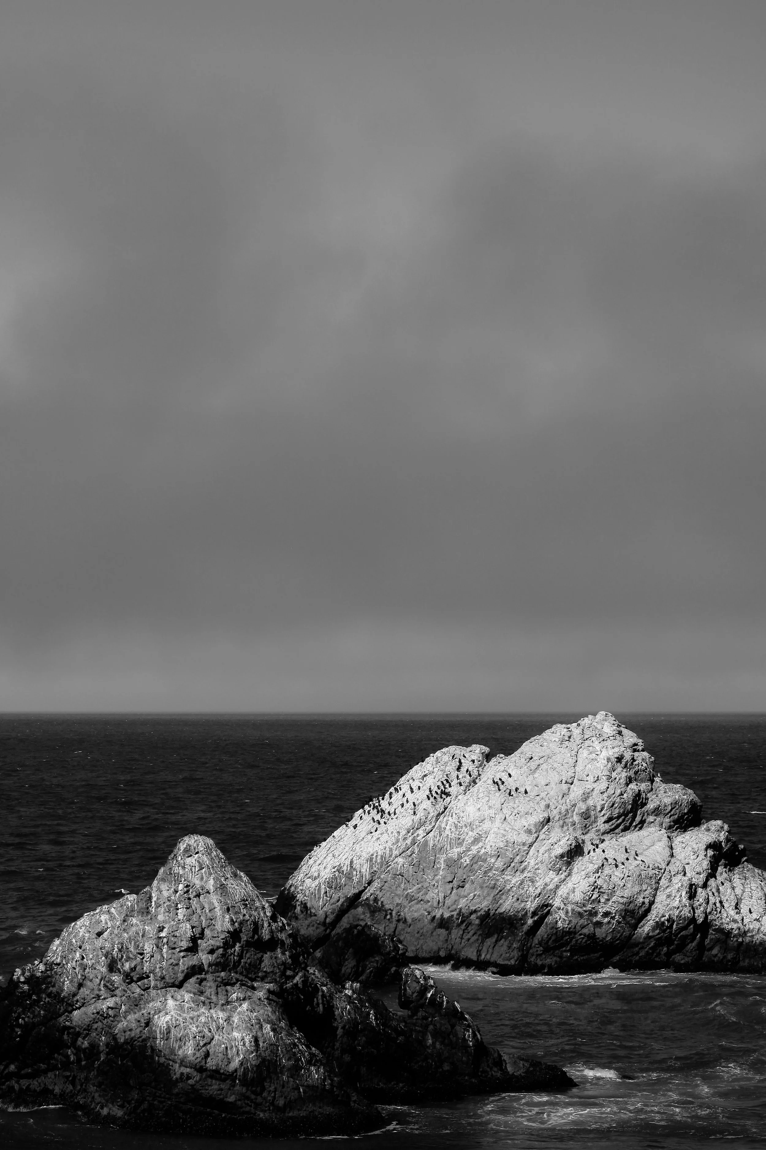 _MG_4940.jpg