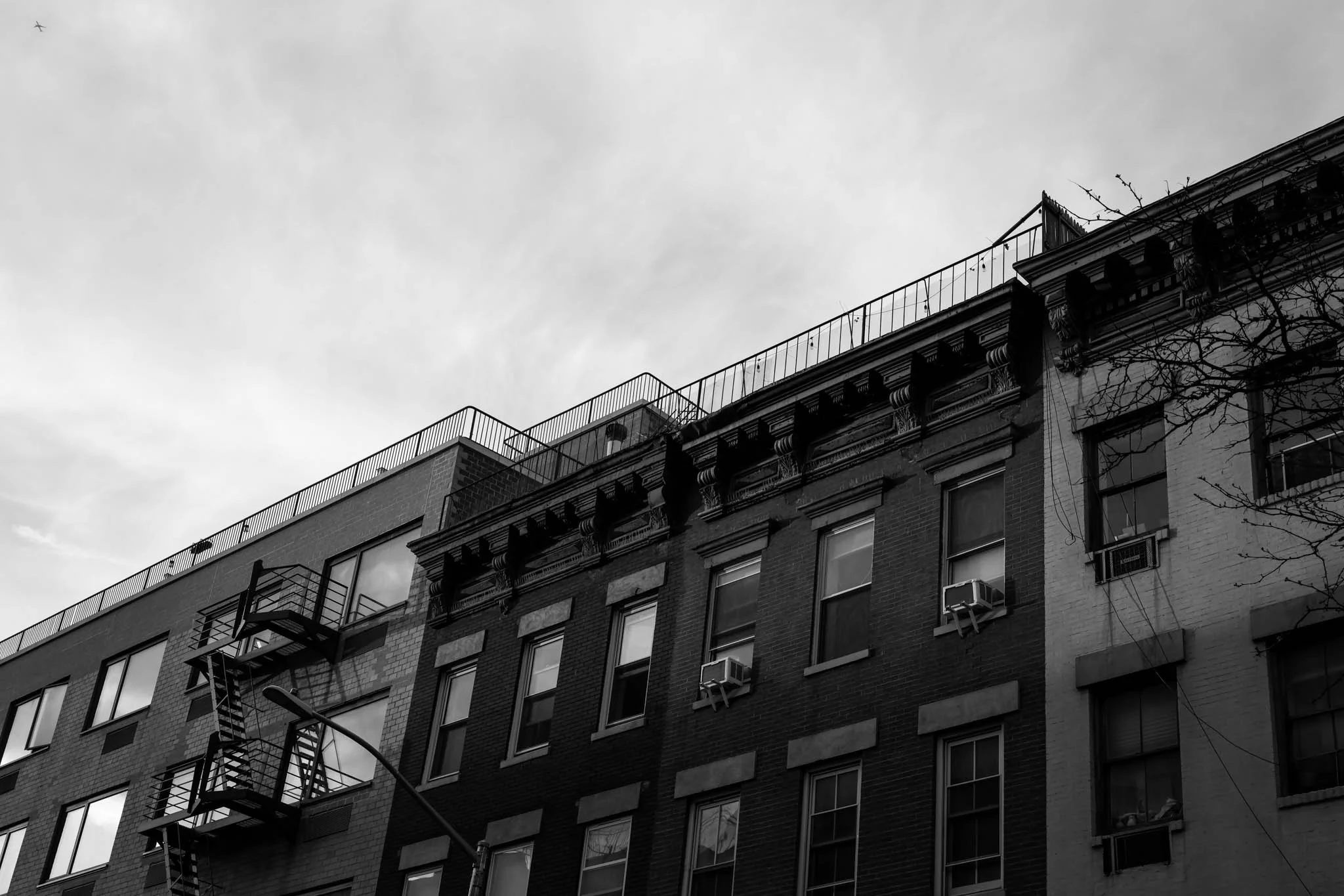 IMG_3775.jpg