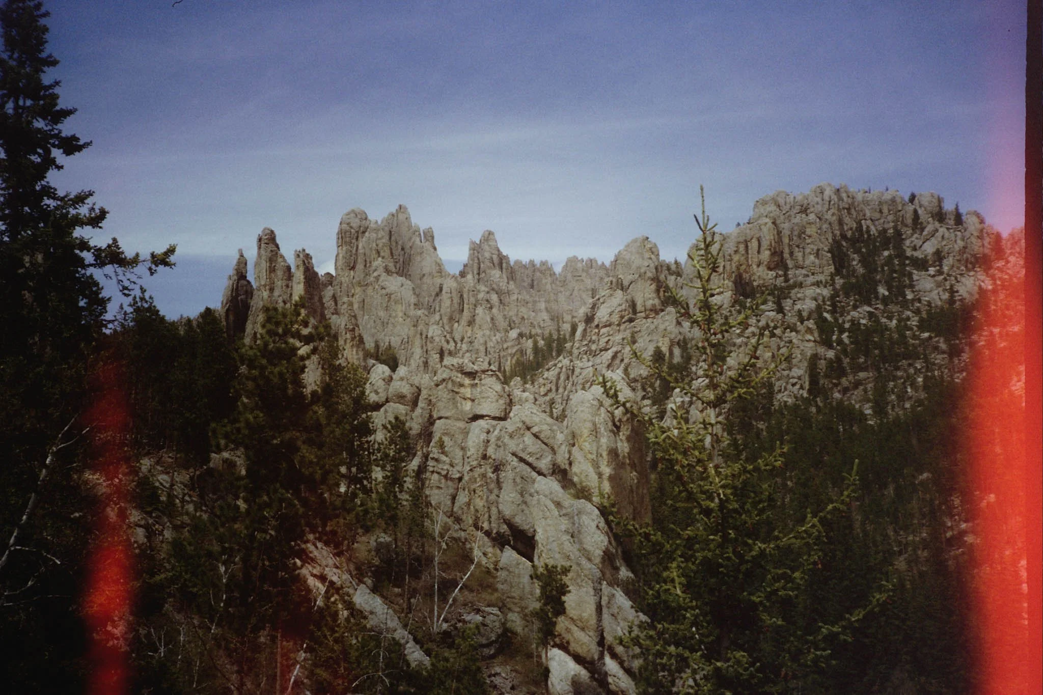 ---_1450.jpg