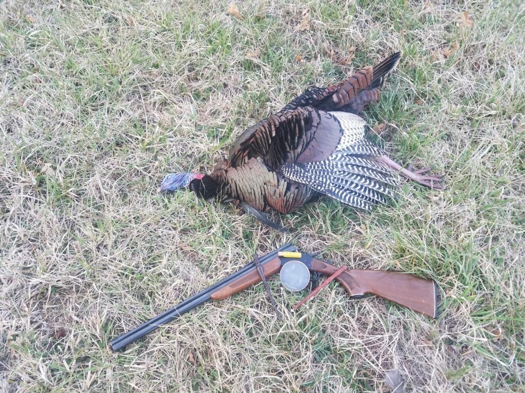 2018 bird with Savage 22 mag over 20 gage, my dad gave me this gun when I turned 11