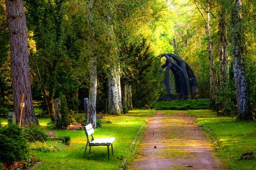 Nature