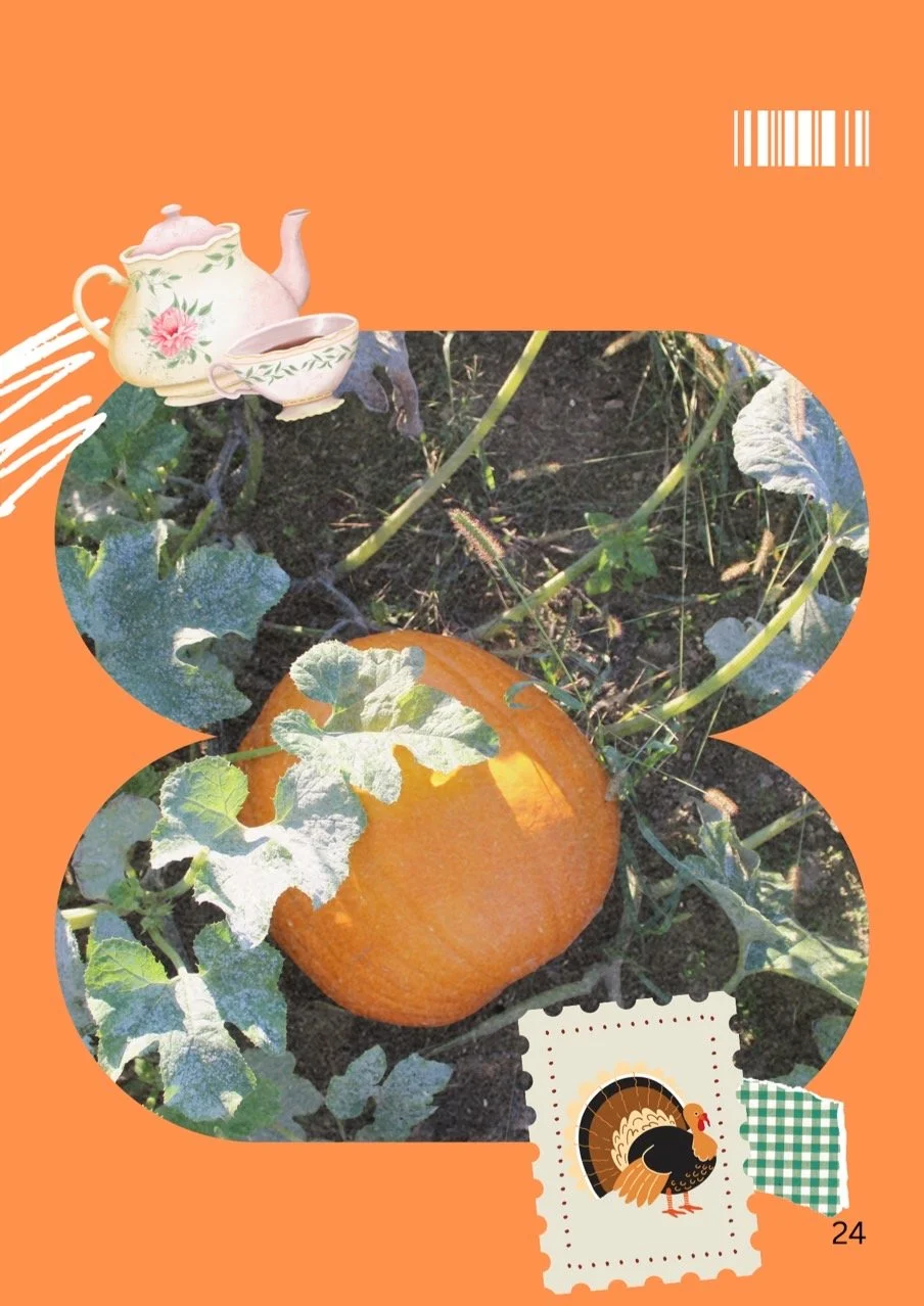 Ohio I. O. R. G. Information_Photo_20251211_23.jpg