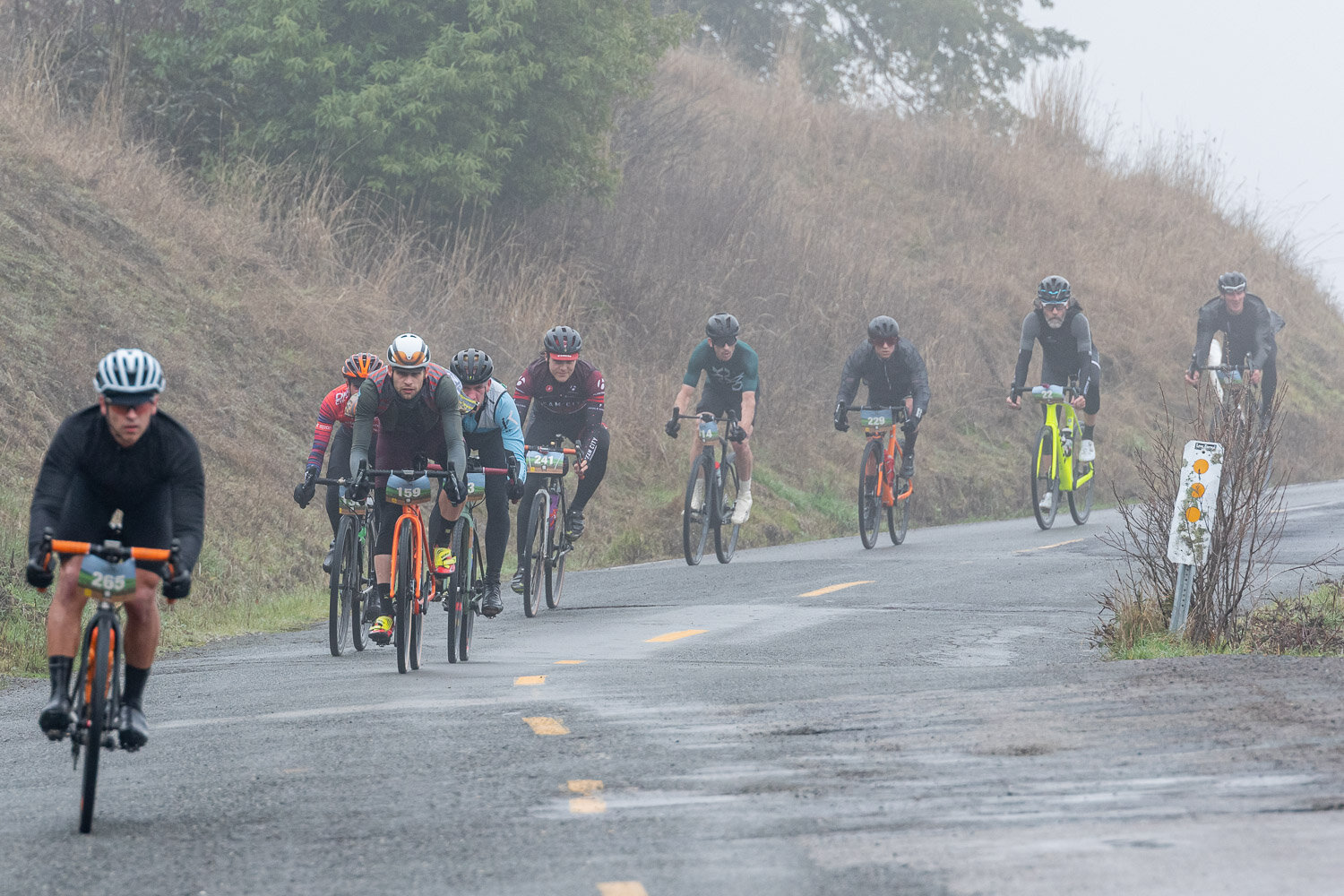 Click here to see all the photos in the Flickr.com album