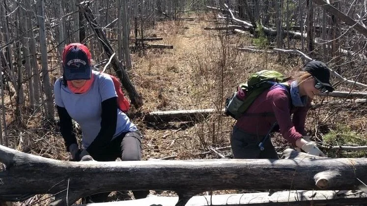 Day Trip Trail Clearing on the Powwow Trail