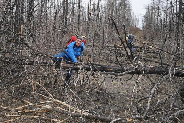 Northland Outdoors: Trail Still Struggling To Recover 5 Years After Fire