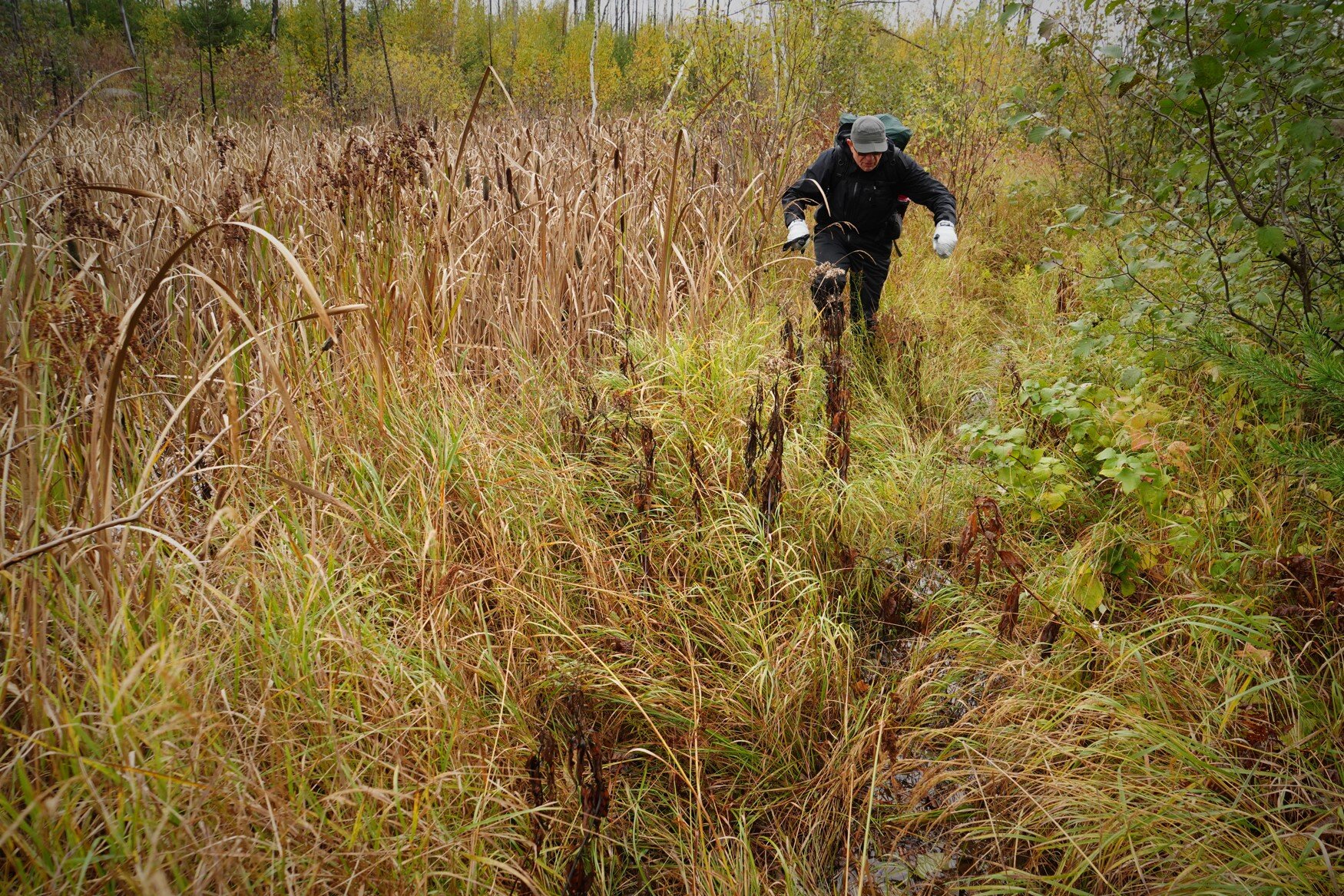 Marshy Prior to Marathon