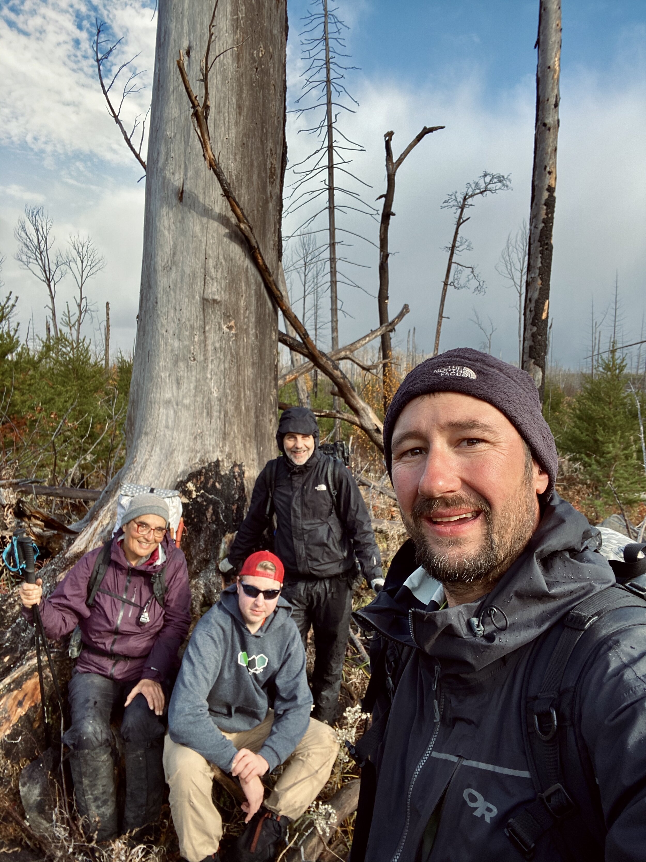 White Pine Skeleton