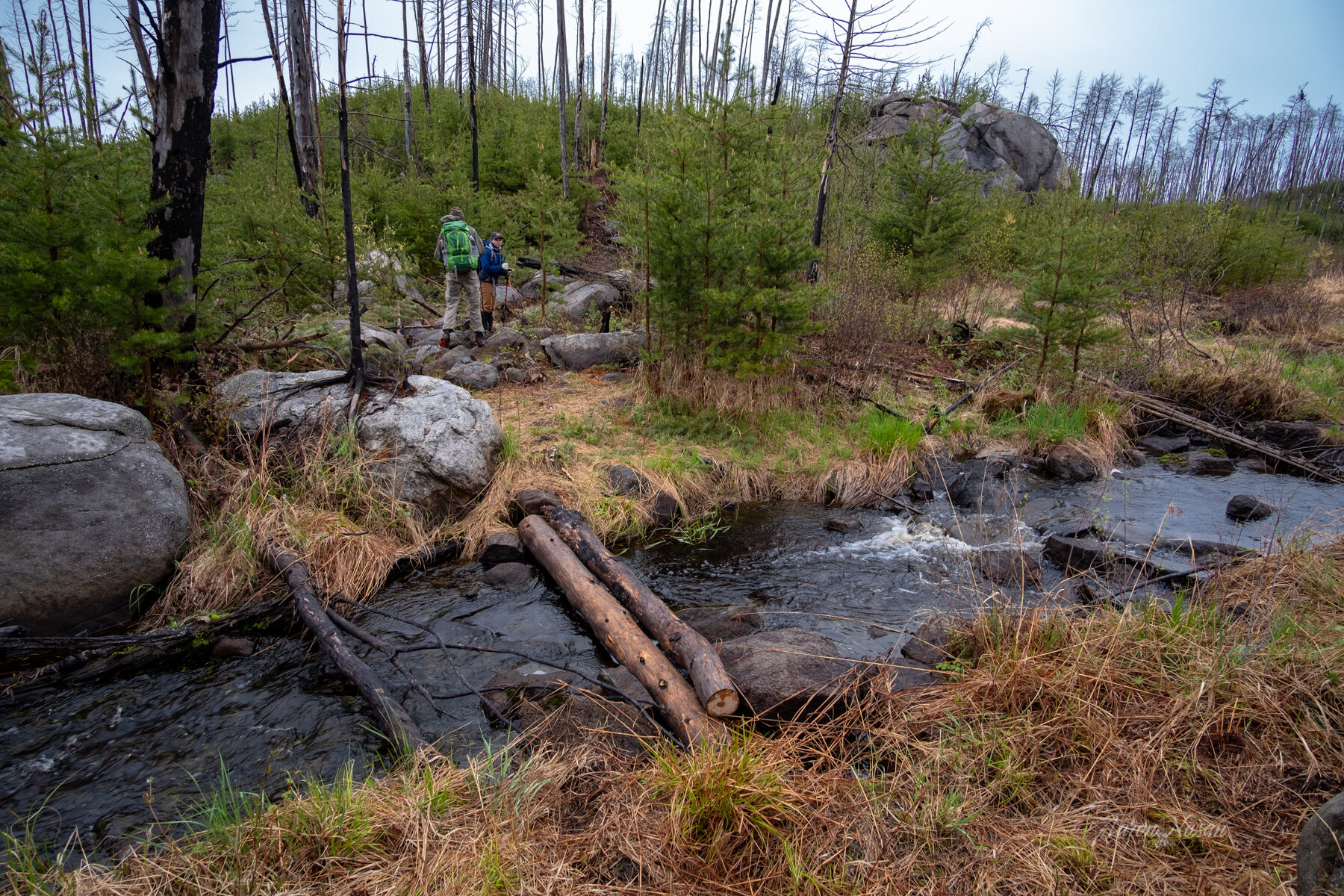 Wilder Creek Crossing