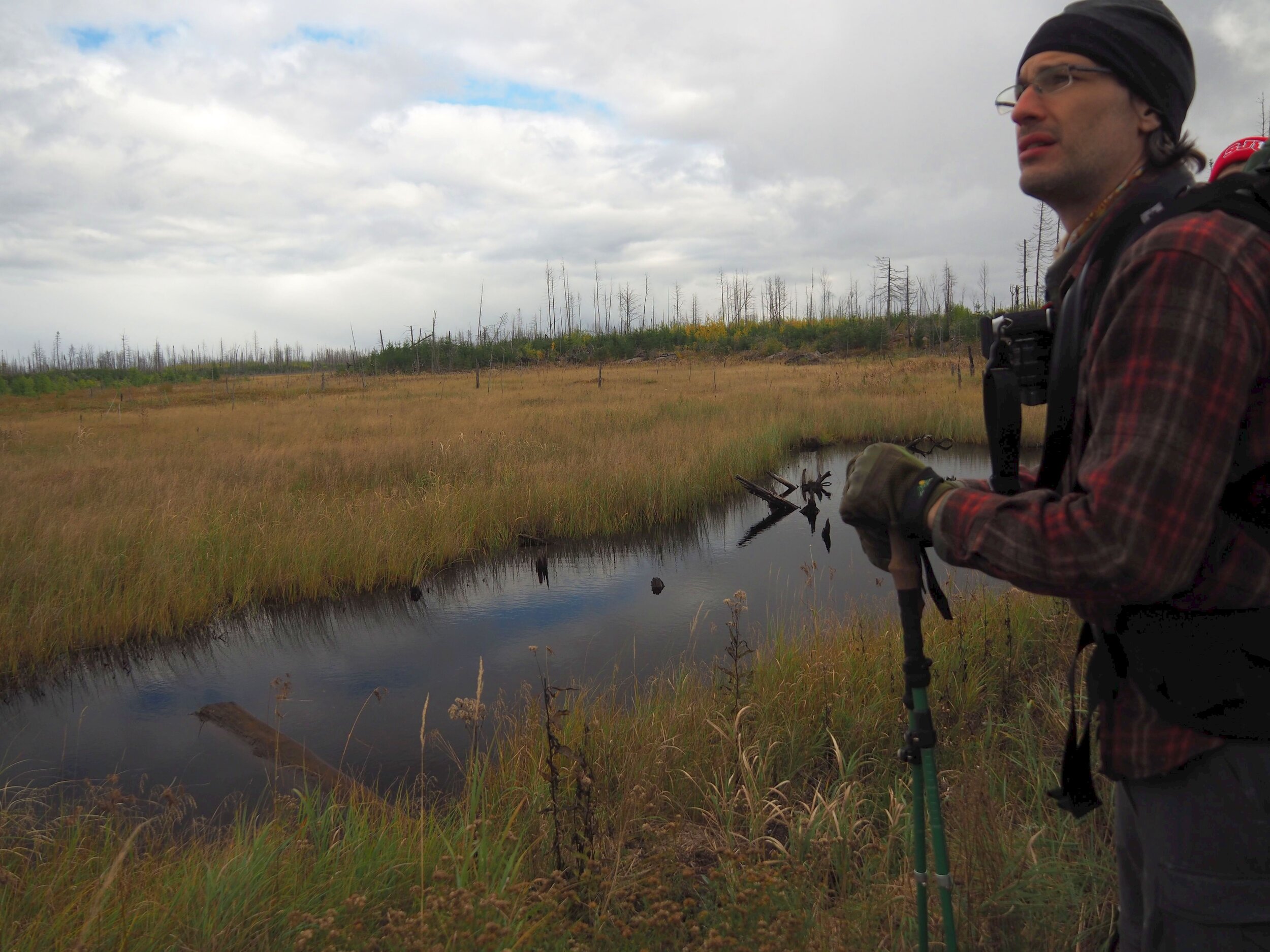 Eastern Swamps