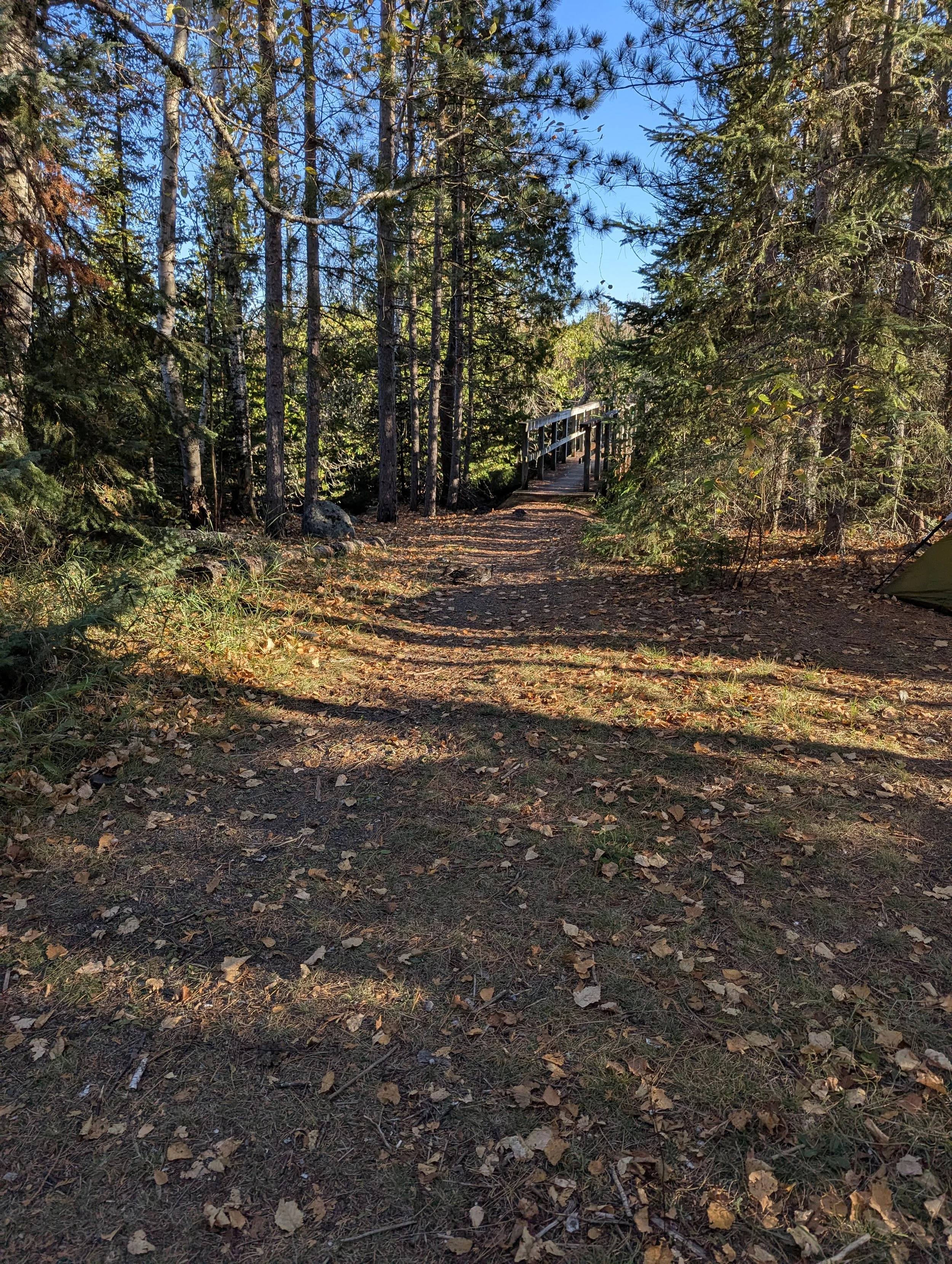 PXL_20251011_140555248.jpg