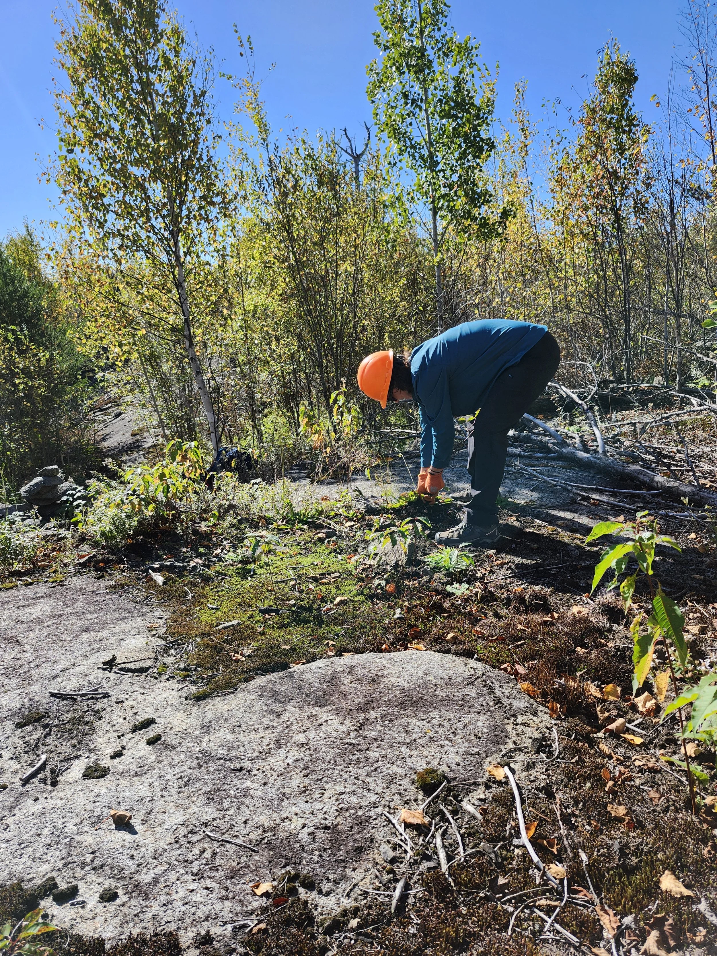 20250927_trail clearing.jpg