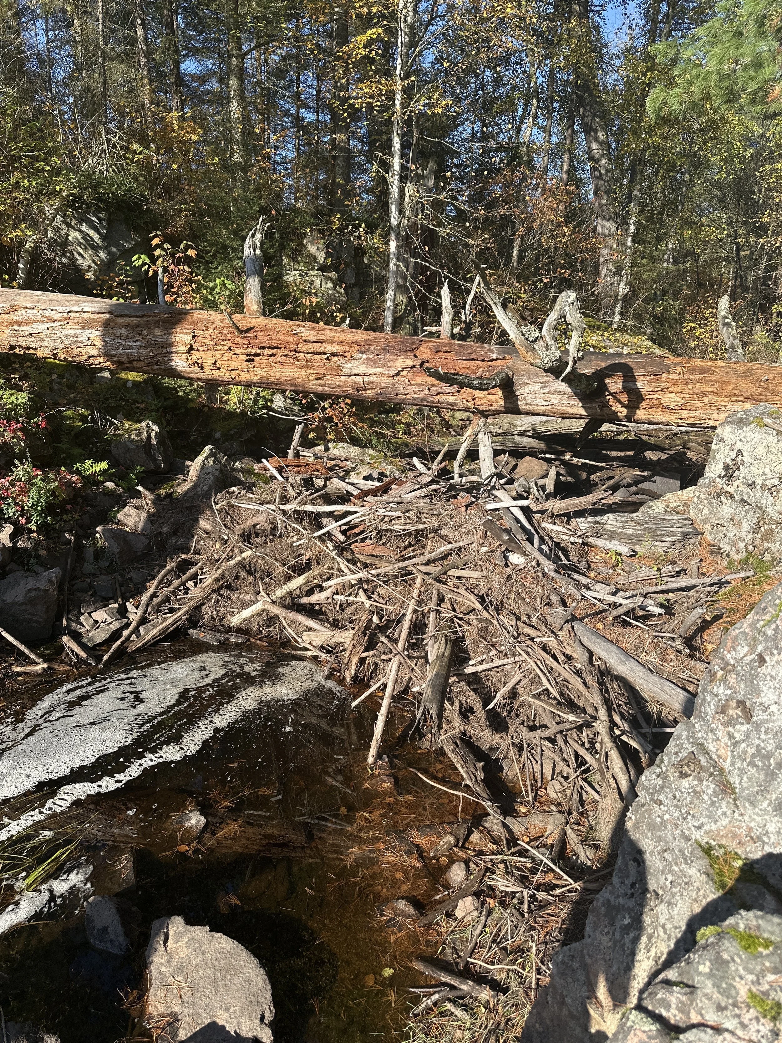 S-HT Heritage_creek.JPG