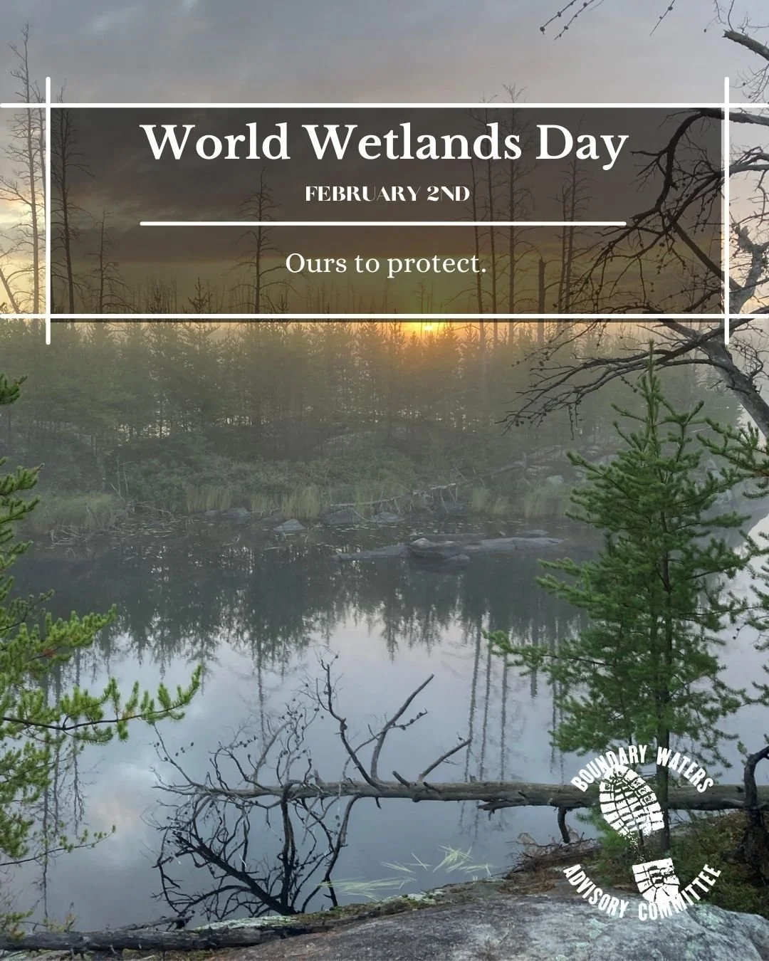 Today we celebrate World Wetlands Day, recognizing the vital role wetlands play in protecting clean water, supporting wildlife, and strengthening our communities.

Protecting these ecosystems means protecting the health, beauty, and resilience of the