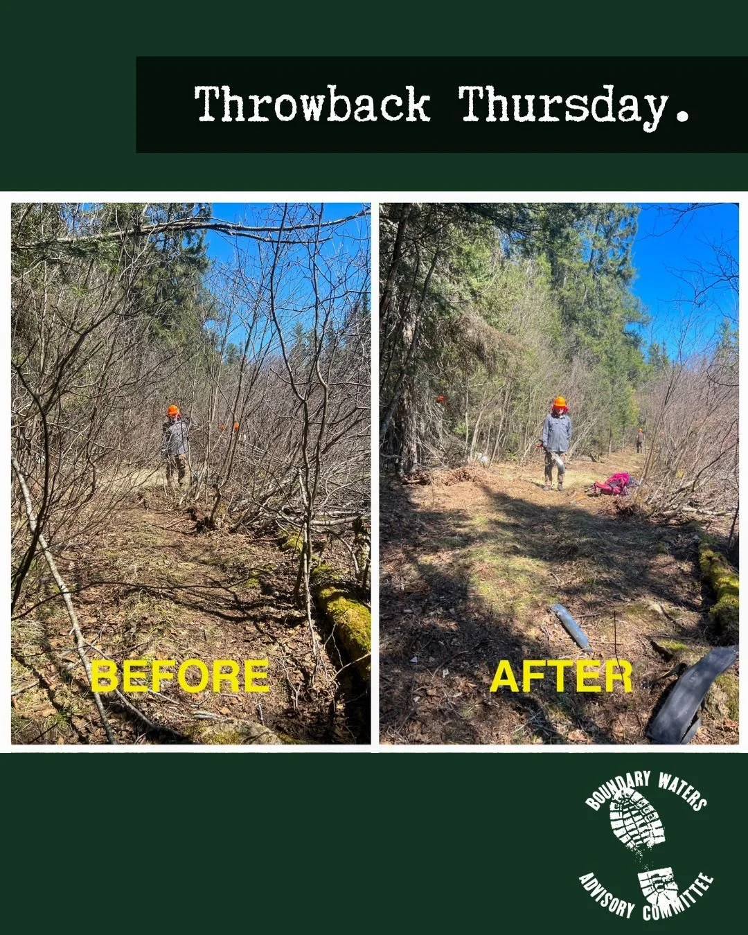 🌲 #ThrowbackThursday 🌲
A look back at BWAC volunteers clearing the Powwow Trail in the Boundary Waters Canoe Area Wilderness. From tangled brush to a clear path forward&mdash;thank you to everyone who makes this work possible!

#BWAC #BoundaryWater