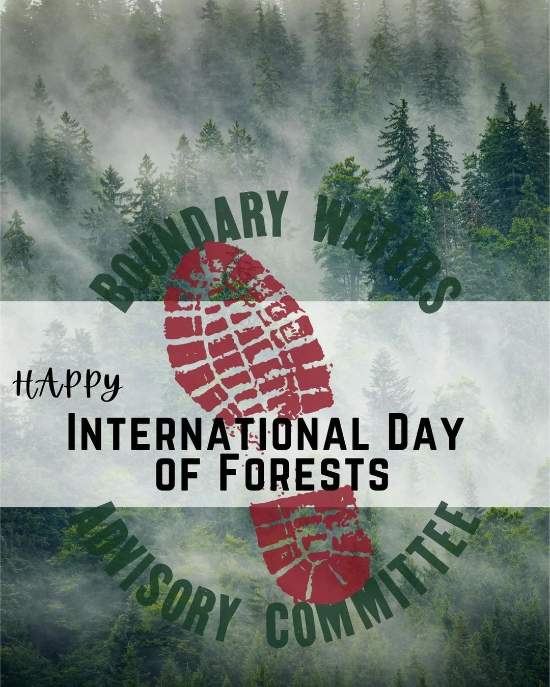 Today we celebrate the forests that give us so much&mdash;clean air, wildlife habitat, adventure, and the quiet beauty that keeps us coming back.

The International Day of Forests, observed each year on March 21, was established by the United Nations