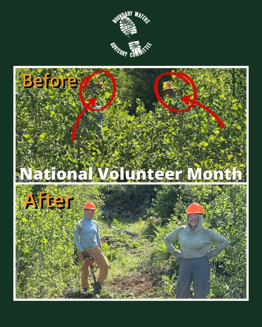 April is National Volunteer Month&mdash;and volunteers truly make a difference.

Just look at the transformation in this hiking trail we cleared last season. What was once overgrown and difficult to navigate is now open, accessible, and ready for oth