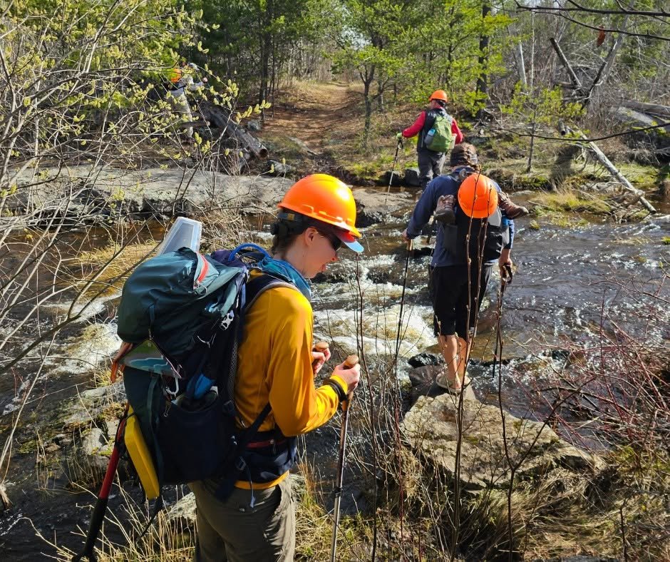 2026 Spring Trail Crew Recap: Trip #5: Powwow Trail