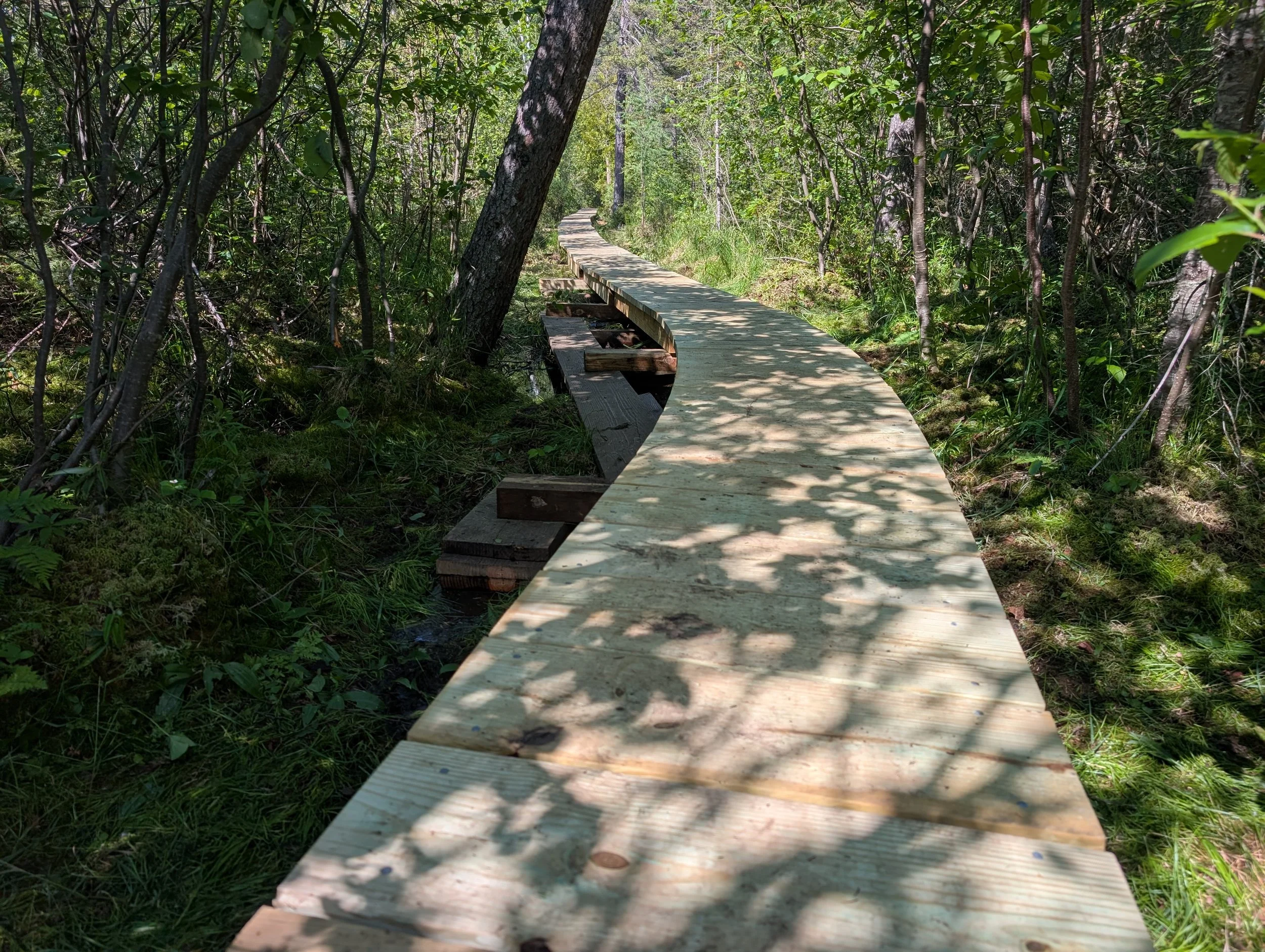 PXL_20260627_210245620.jpg