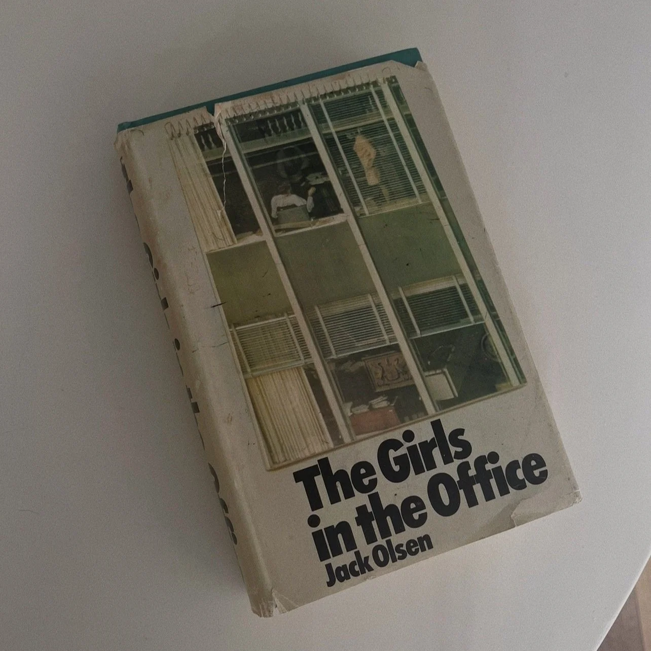 Vintage Book: The Girls in The Office