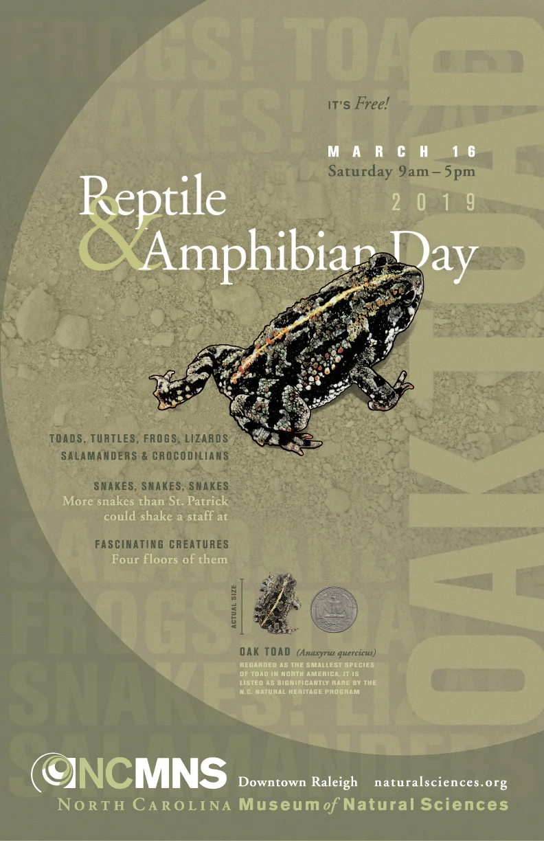 Reptile & Amphibian Day 2019